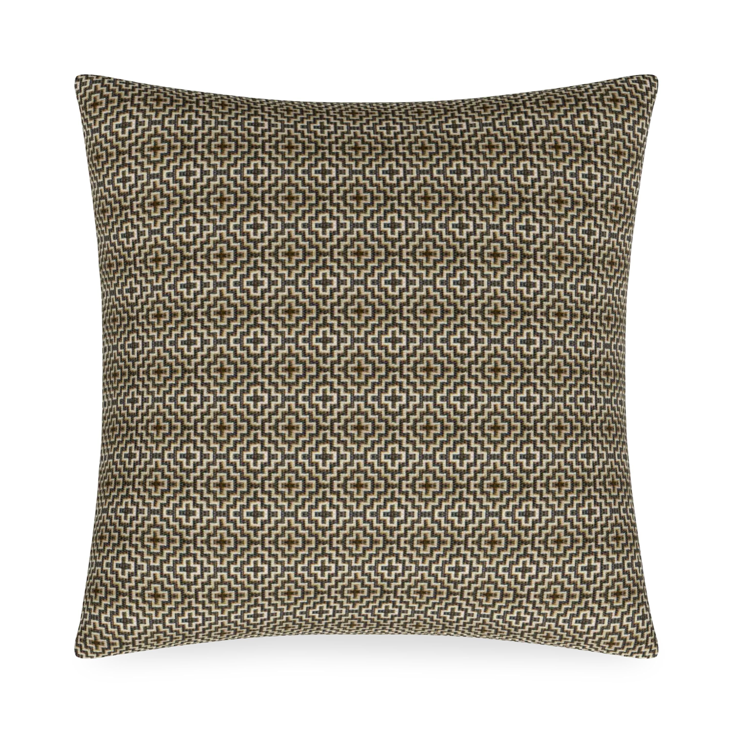 Troy Pillow