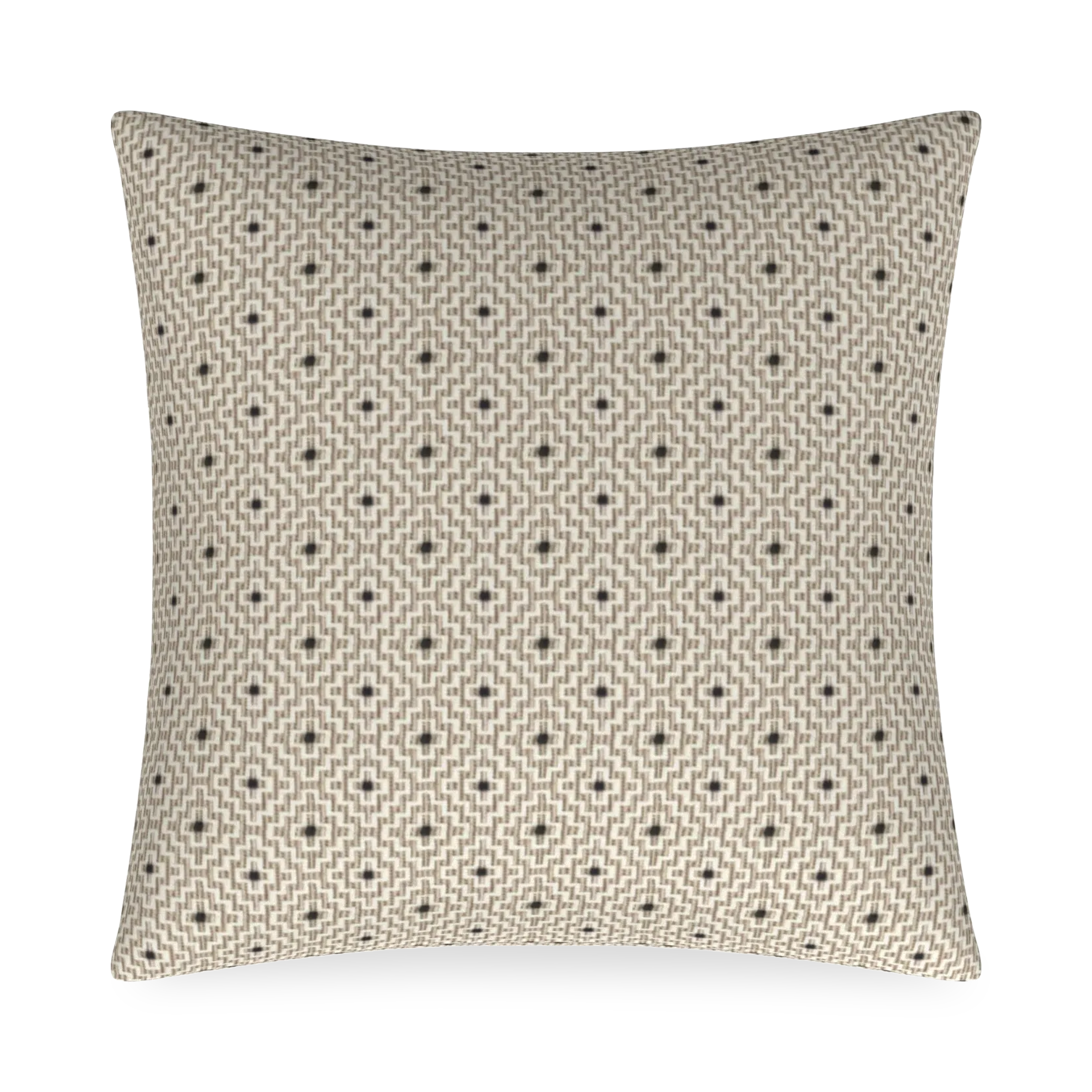 Troy Pillow