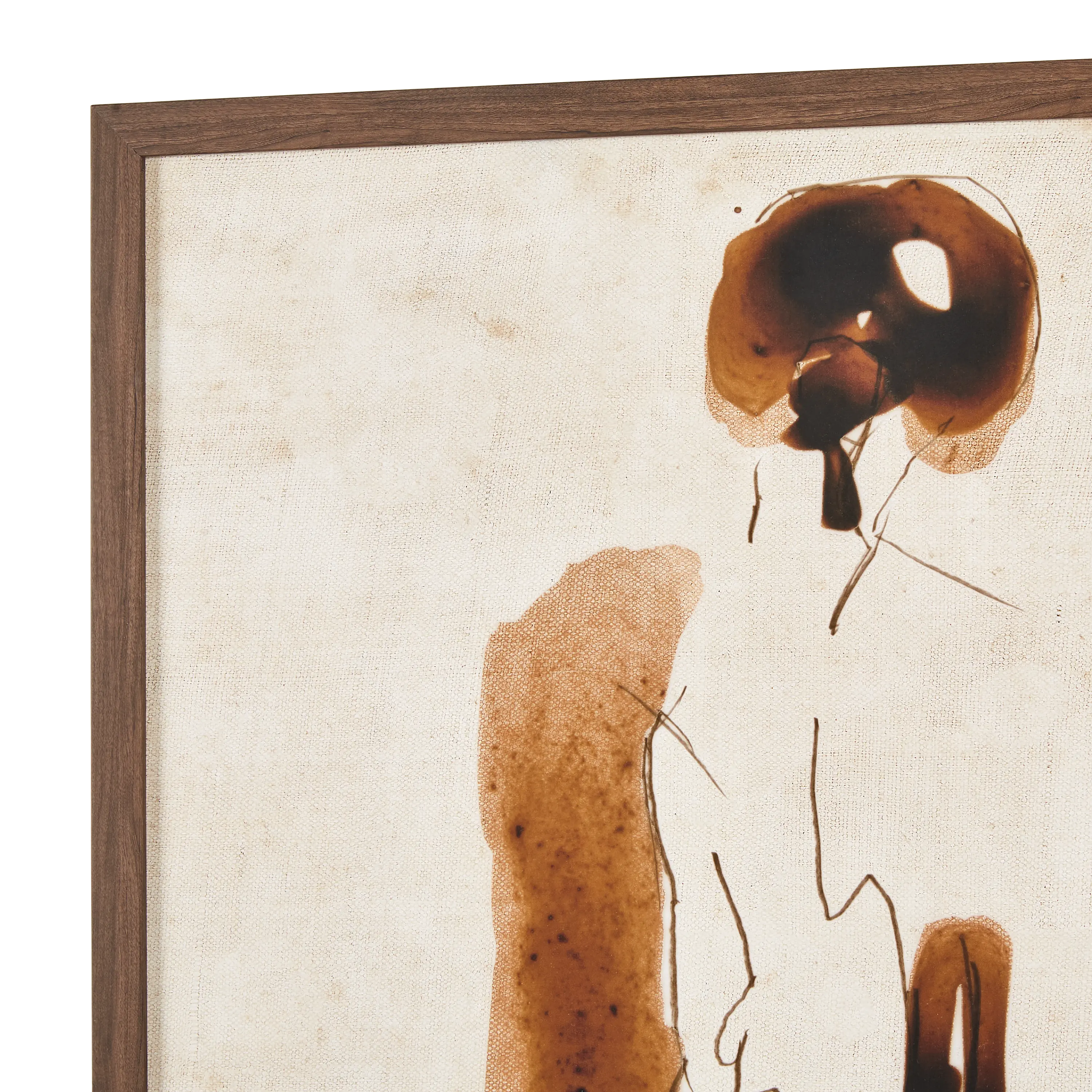 Contour Study I