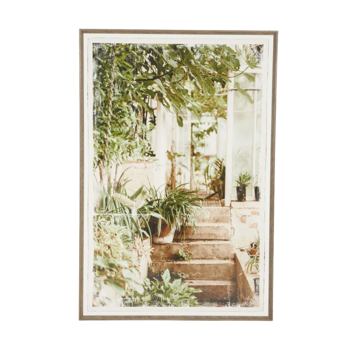 Greenhouse II
