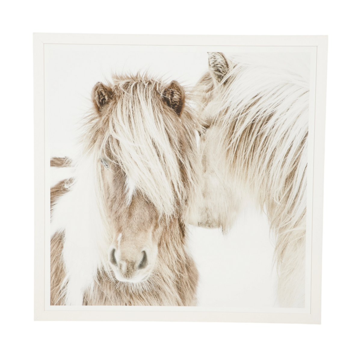 Gentle Ponies