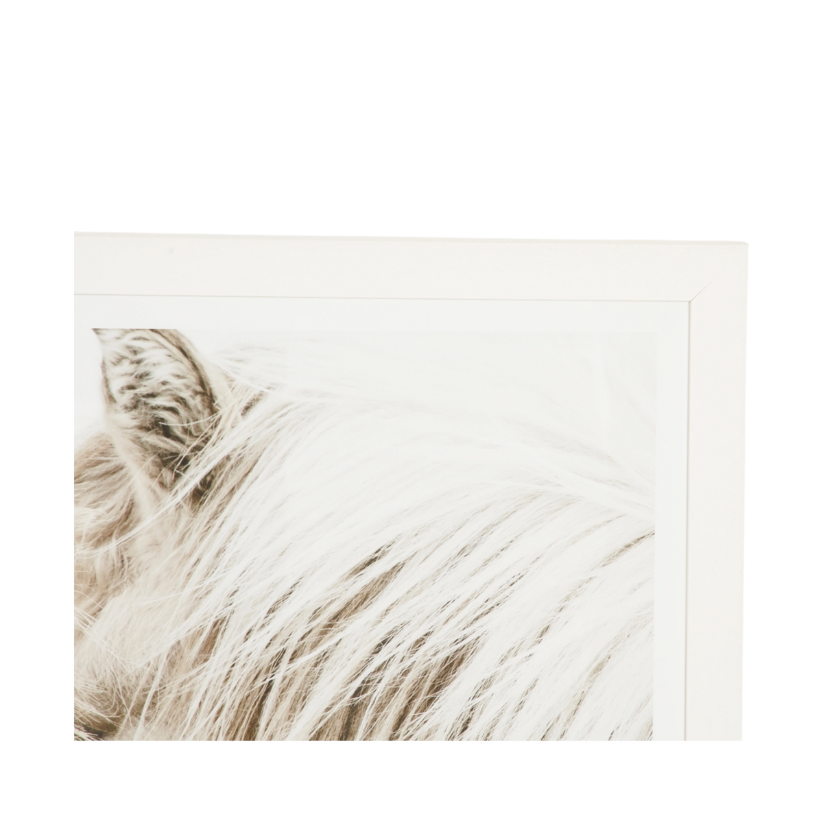 Gentle Ponies