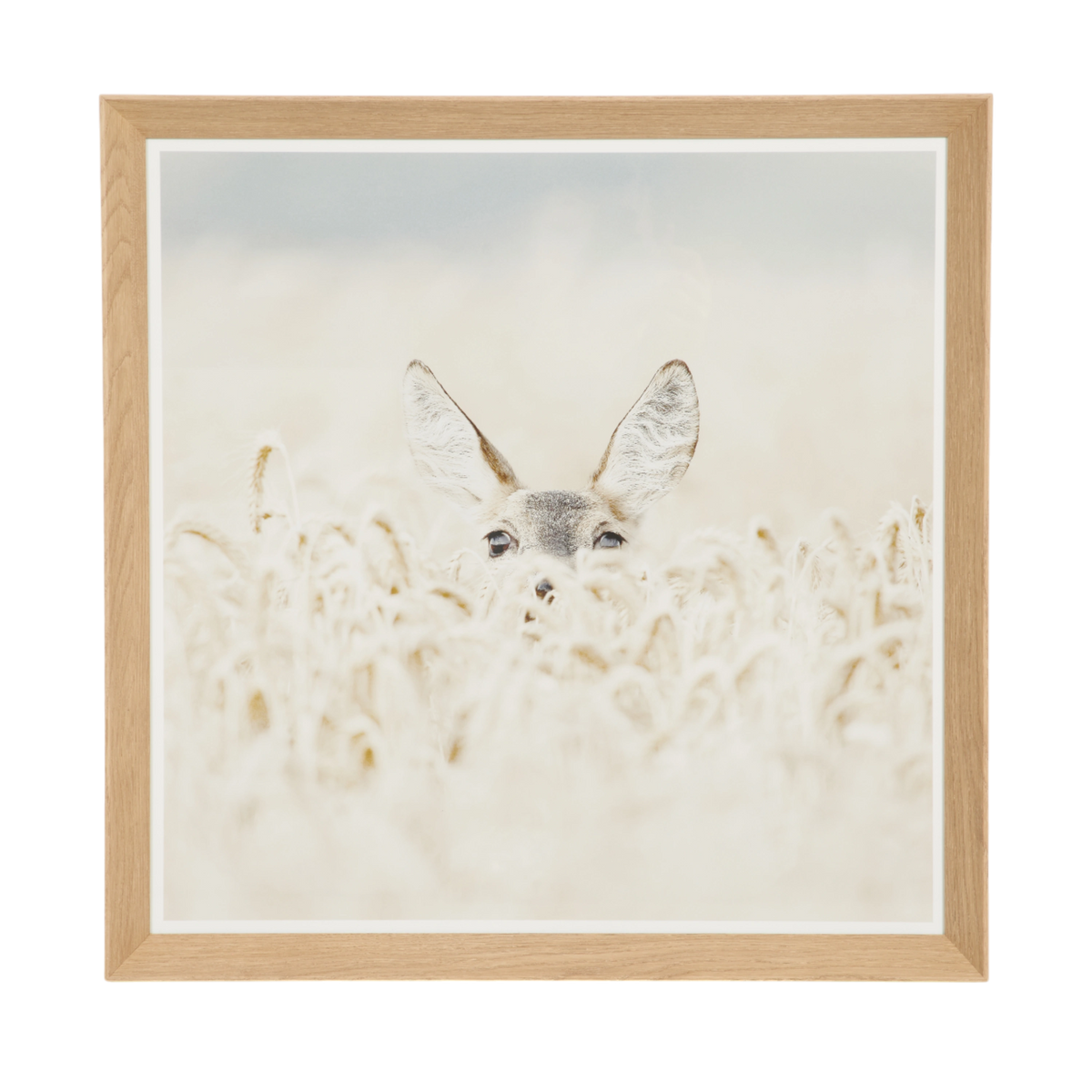 Peeking Fawn