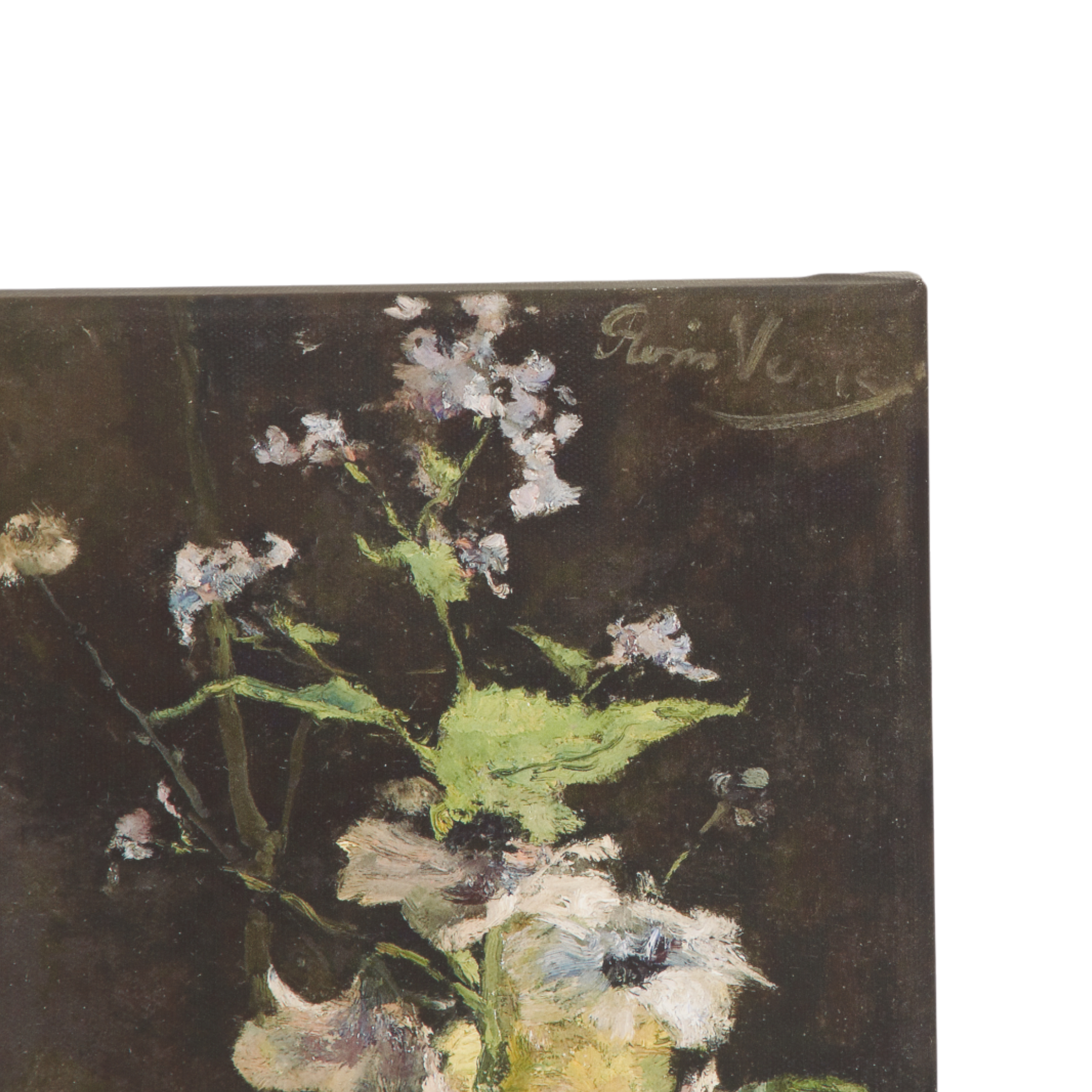 Wildflowers