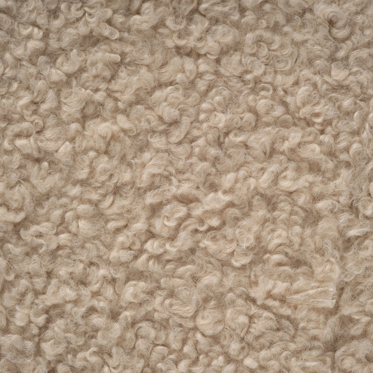 Close-up showing the Ciro Ottoman’s cream upholstery texture, with soft tight curls in warm ivory and oatmeal tones.
