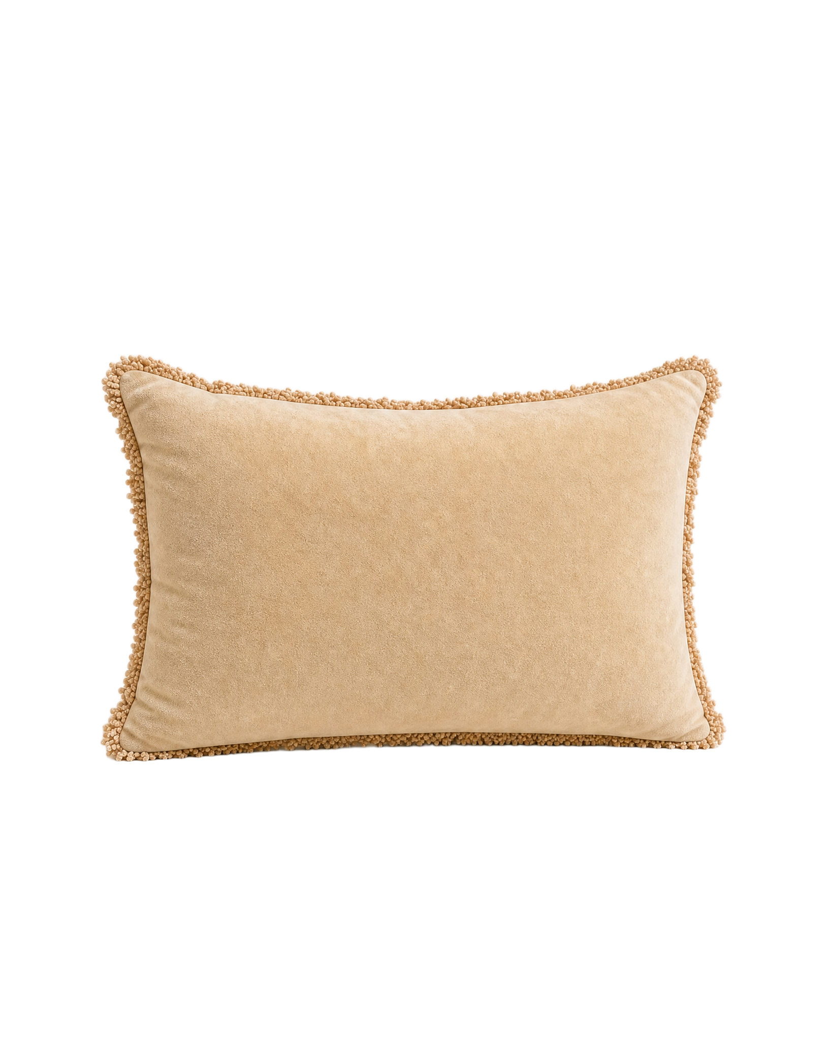 Velvet Fringe Pillow