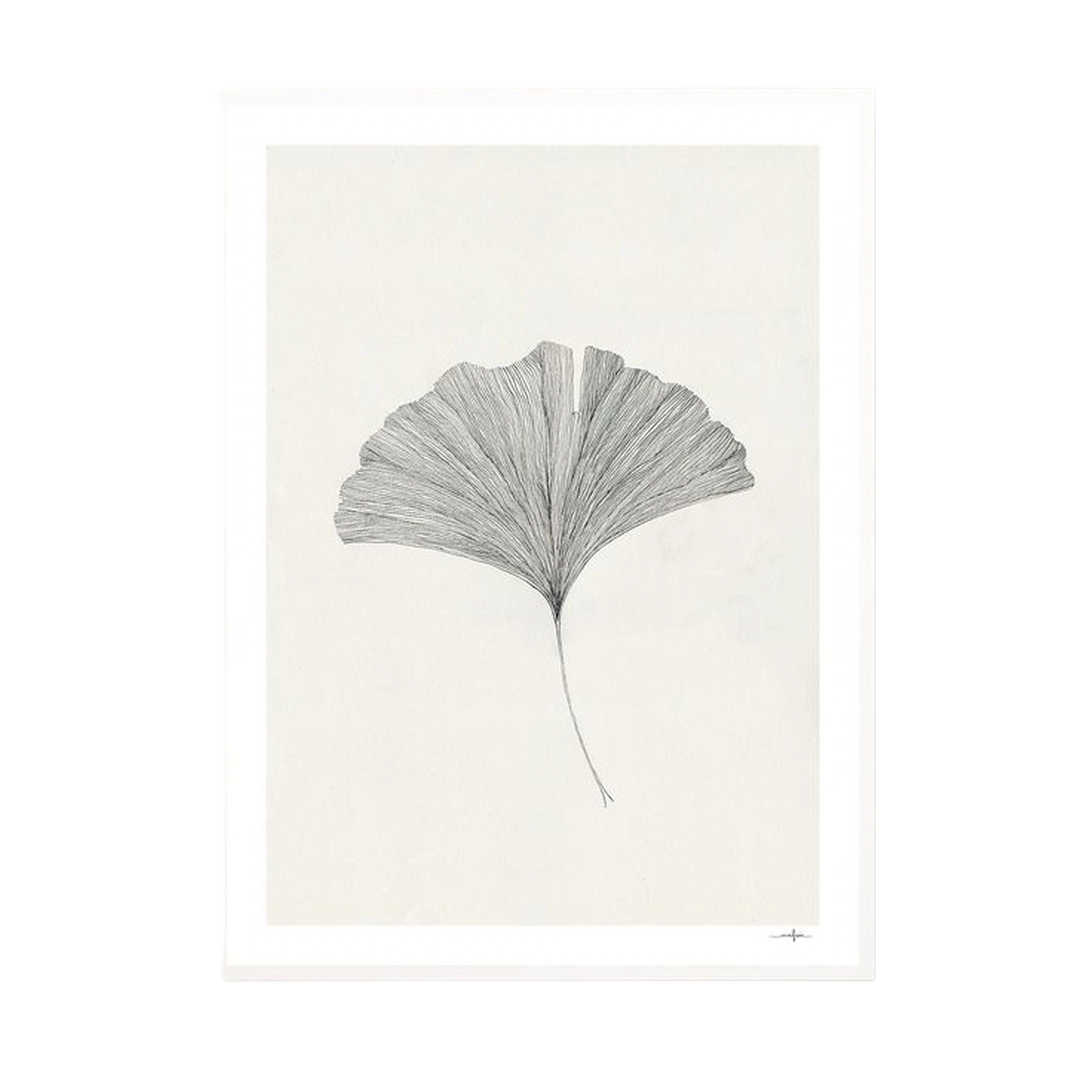 Gingko Leaf