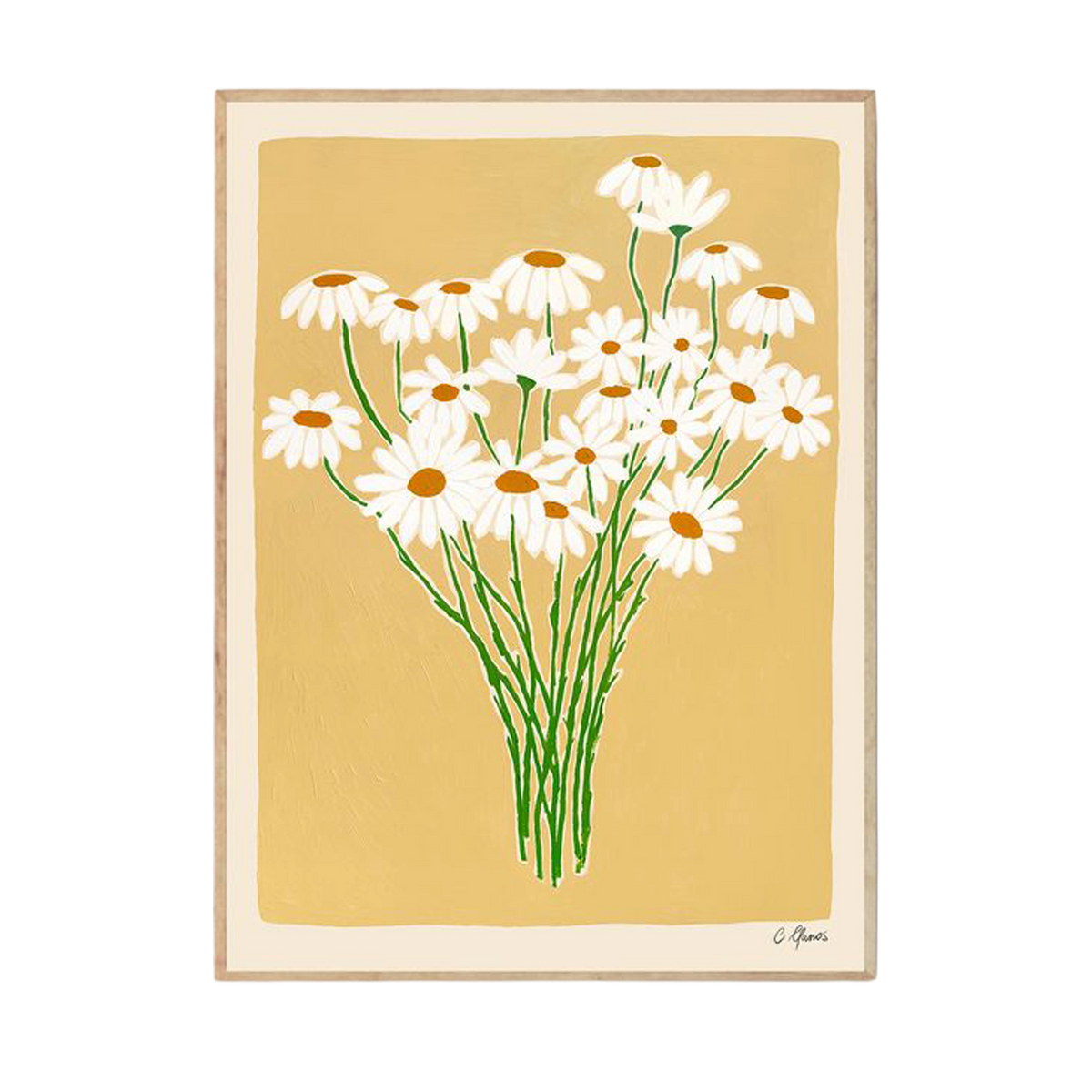 Daisies