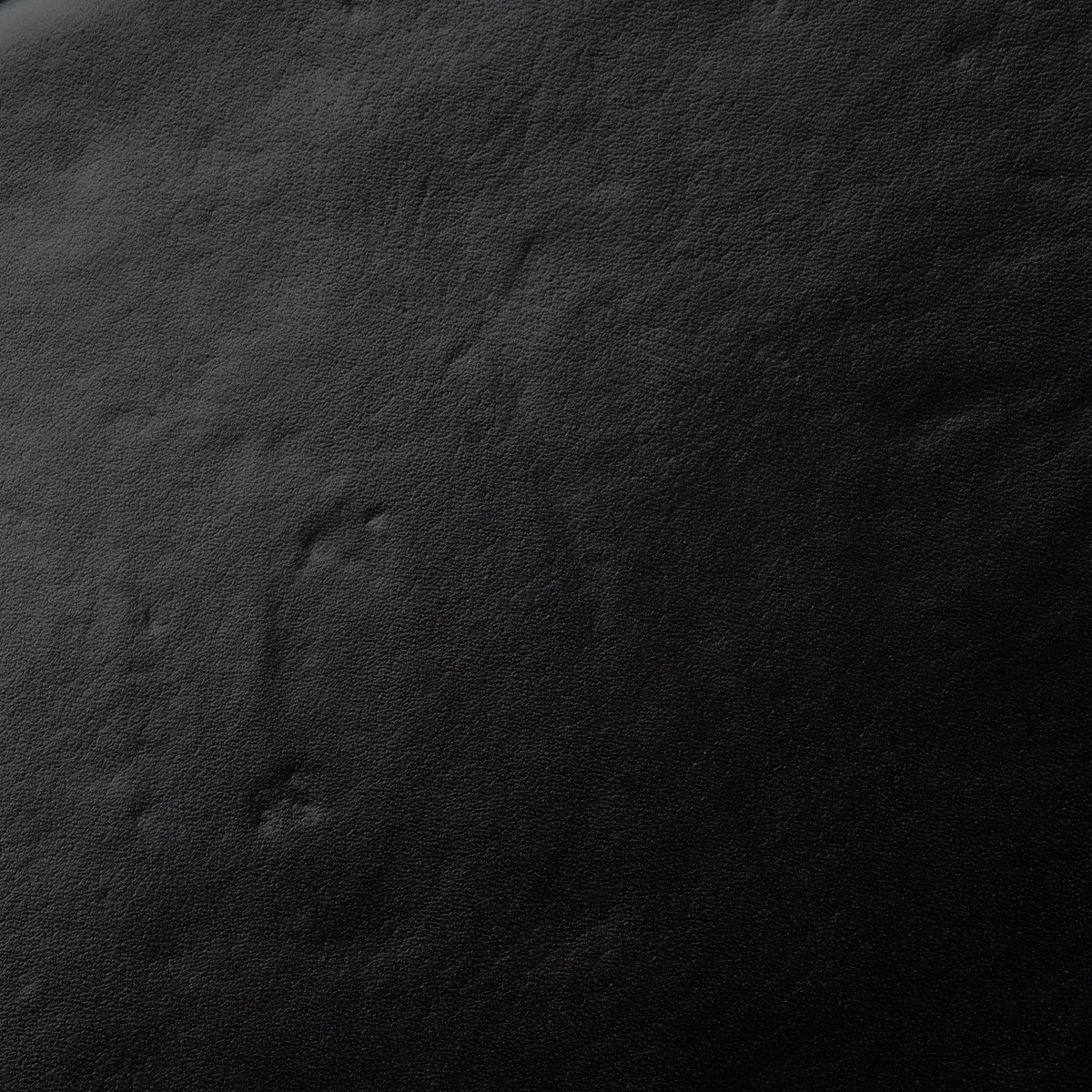 Close-up showing the black leather seat of the Leonardo Lounge Chair, with fine natural grain and subtle surface creasing.