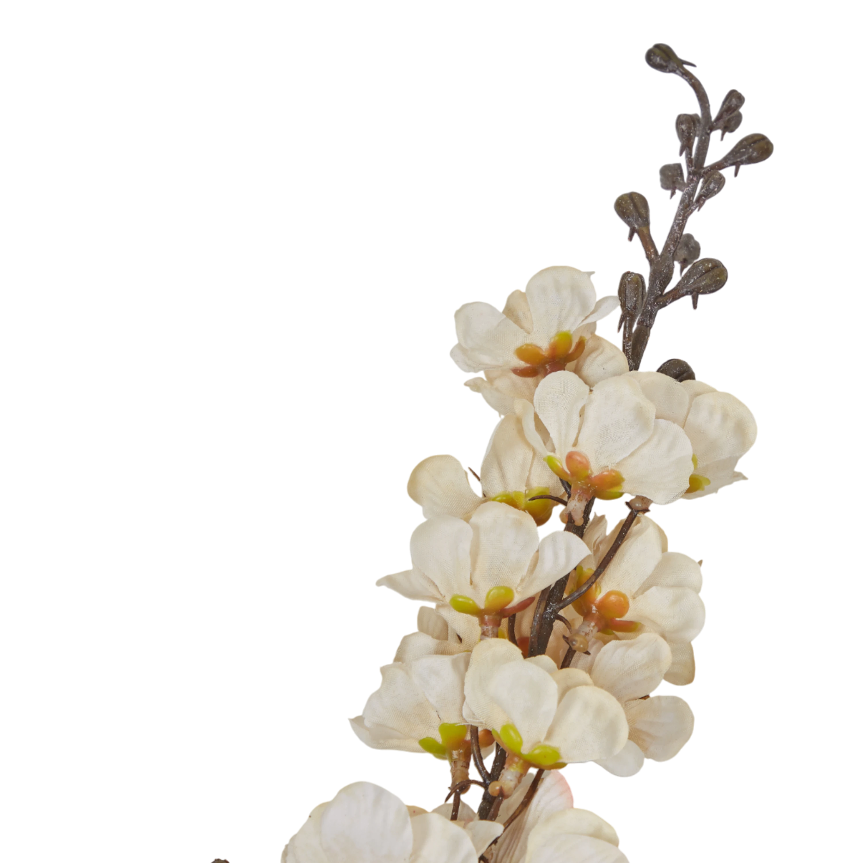 Larkspur Stem