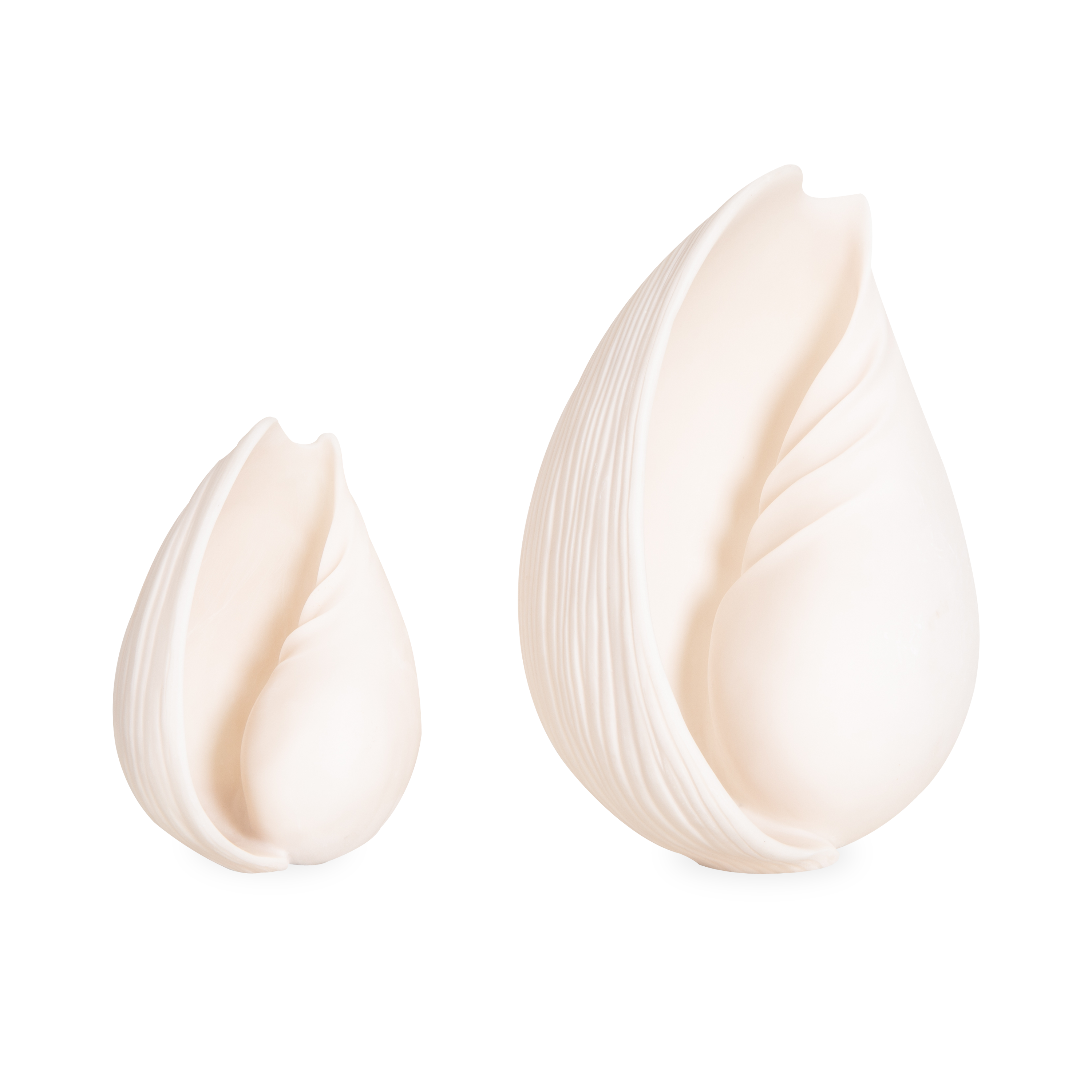 Seashell Sculpture