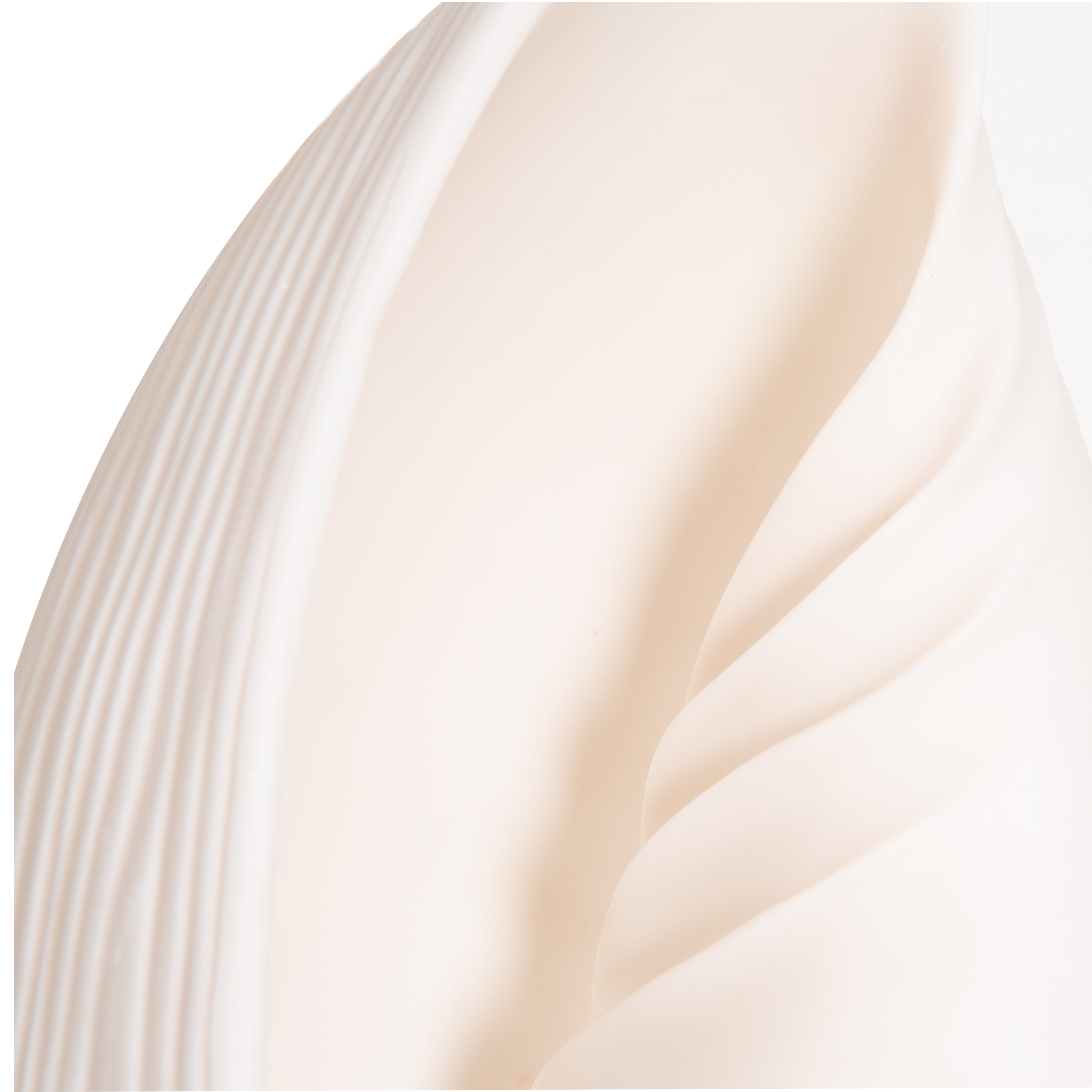 Seashell Sculpture
