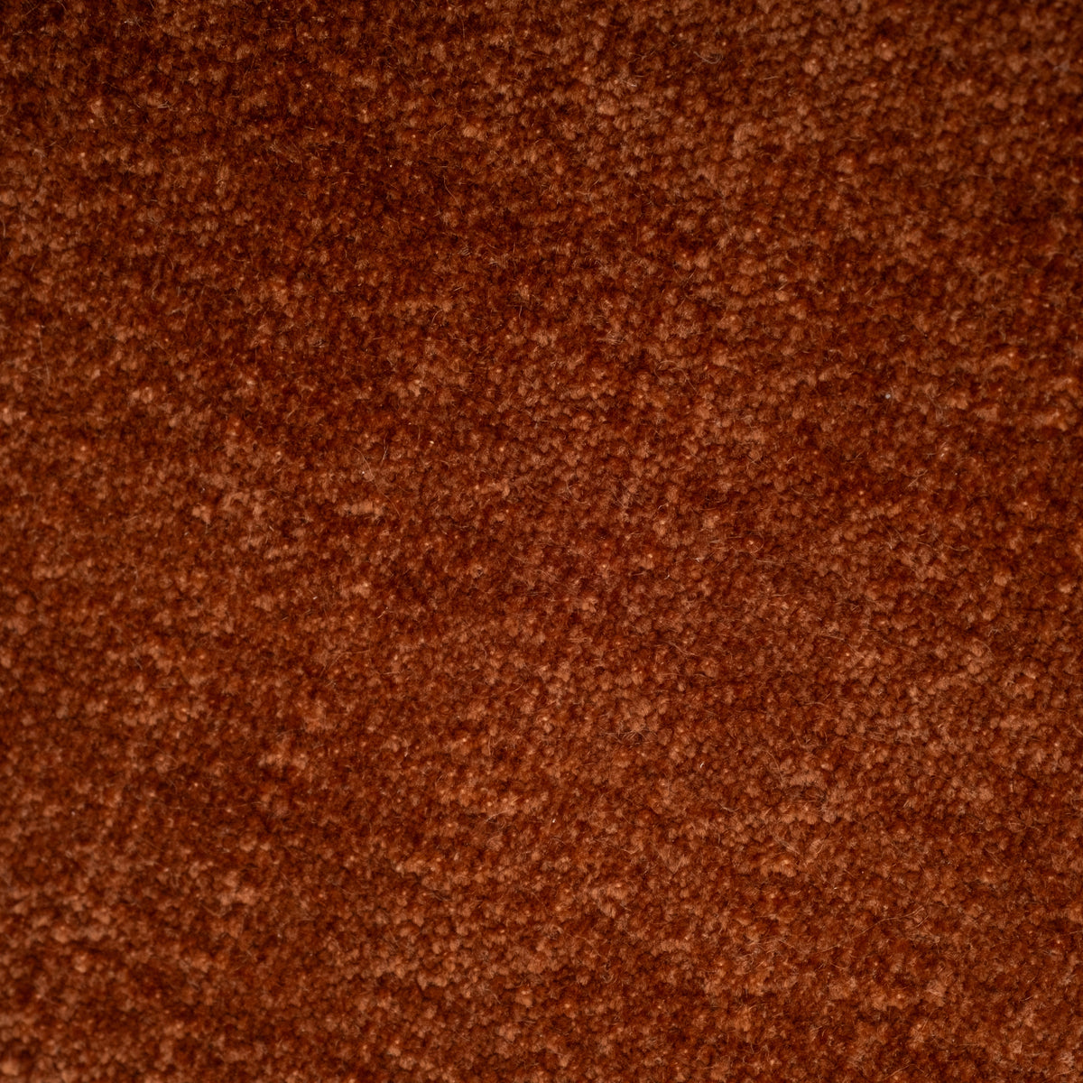 Macro close-up of the rust chenille upholstery on the Loom Modular Sectional, showing the dense short pile with lighter copper-orange tips.