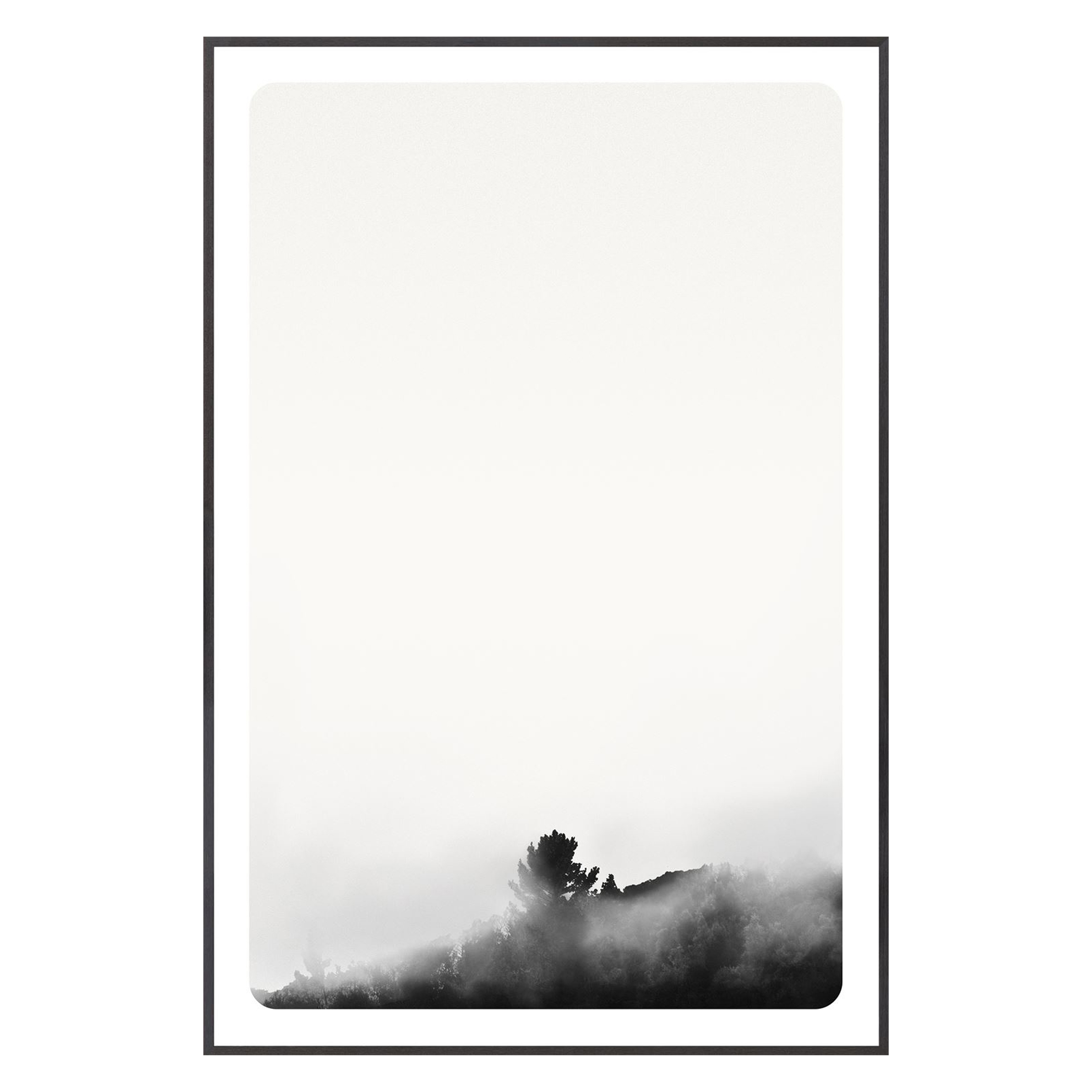 Calm and quiet, this series of fog immersed, inky black and white landscape photos offer the calm of wilderness.