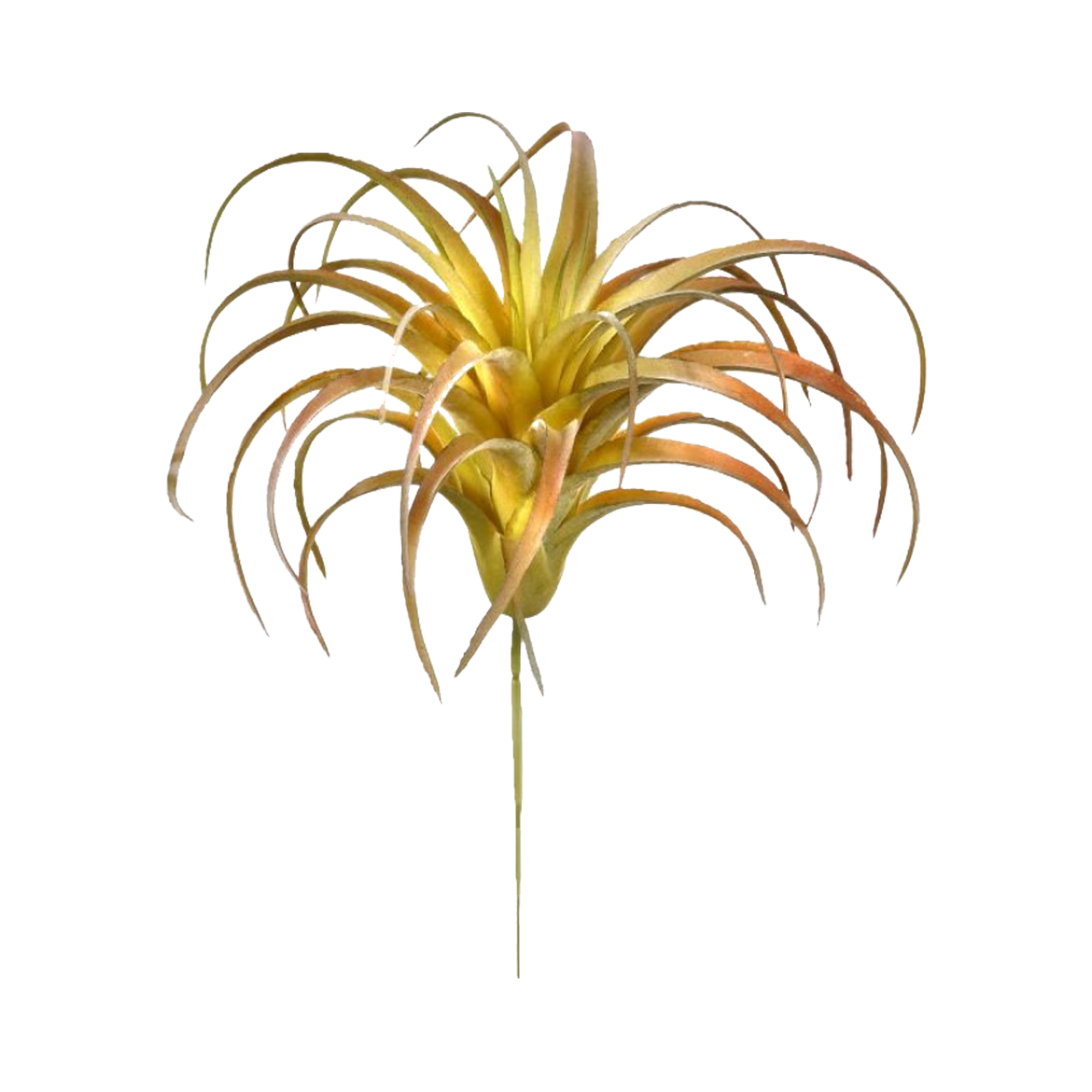 Add a refreshing vibe to your home or office with a faux Air Plant in a bright yellow color.