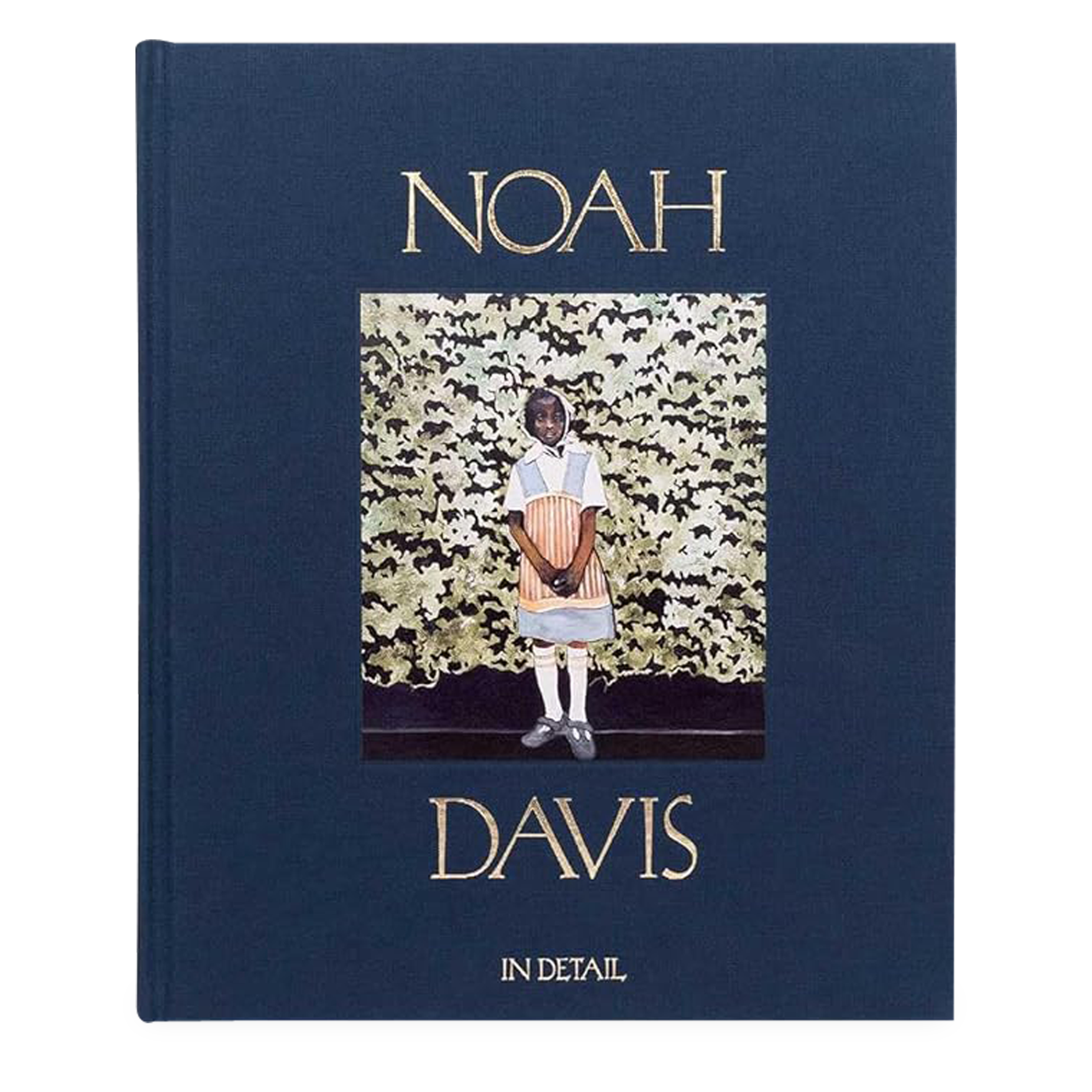 Noah Davis: In Detail