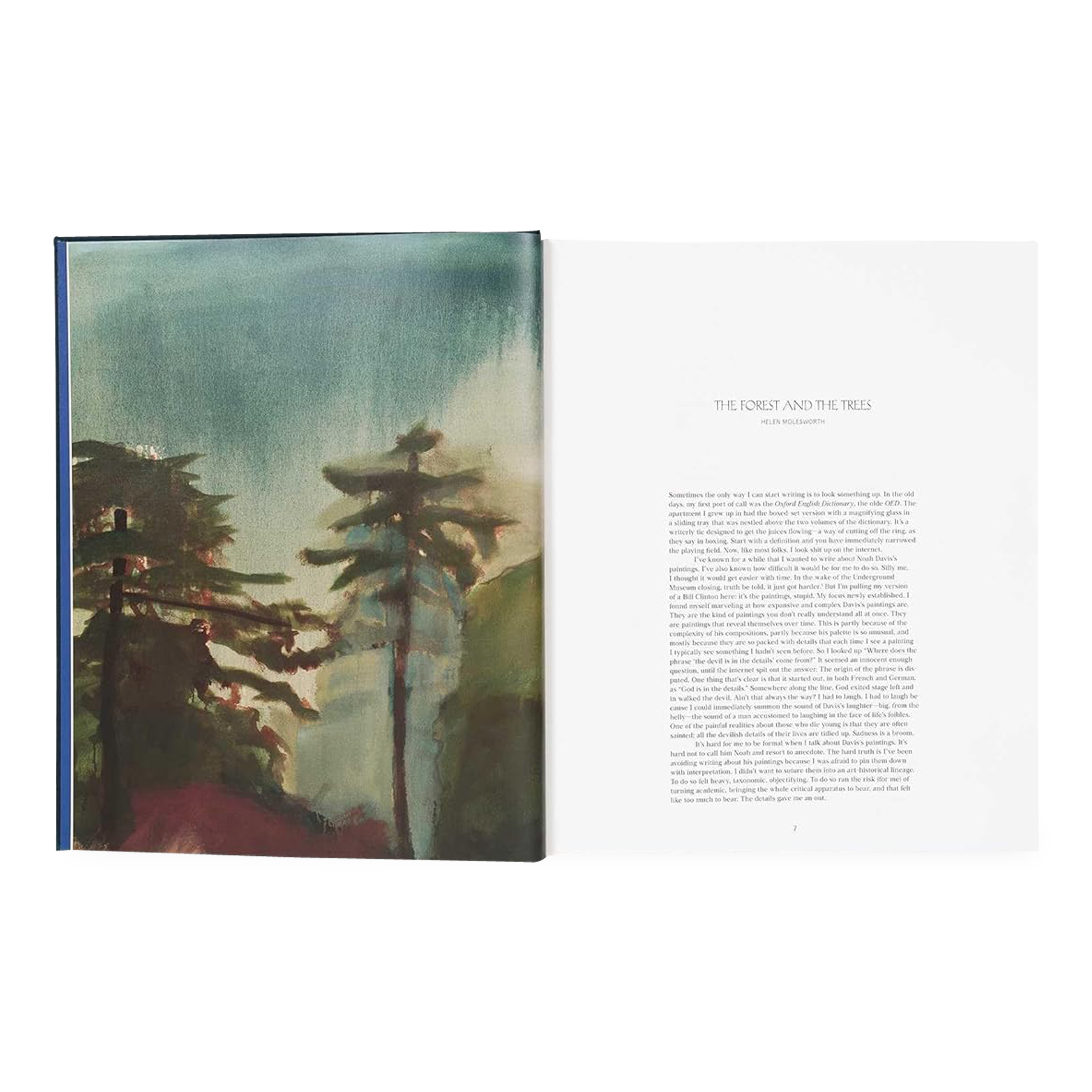 Noah Davis: In Detail