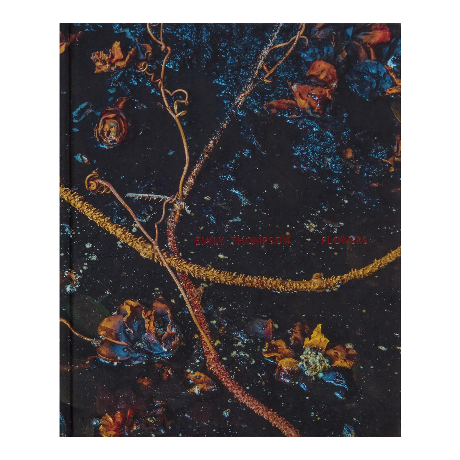 Emily Thompson: Flowers