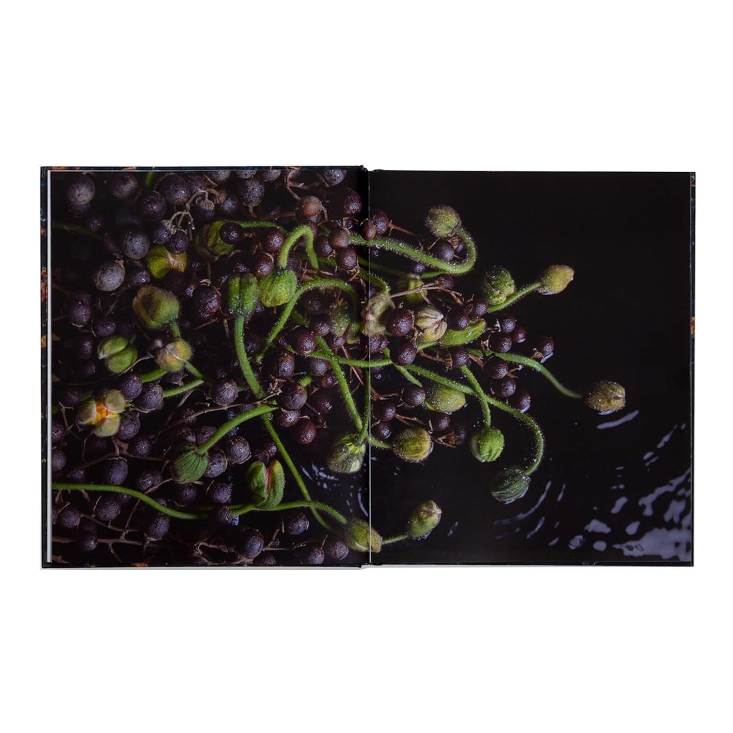 Emily Thompson: Flowers