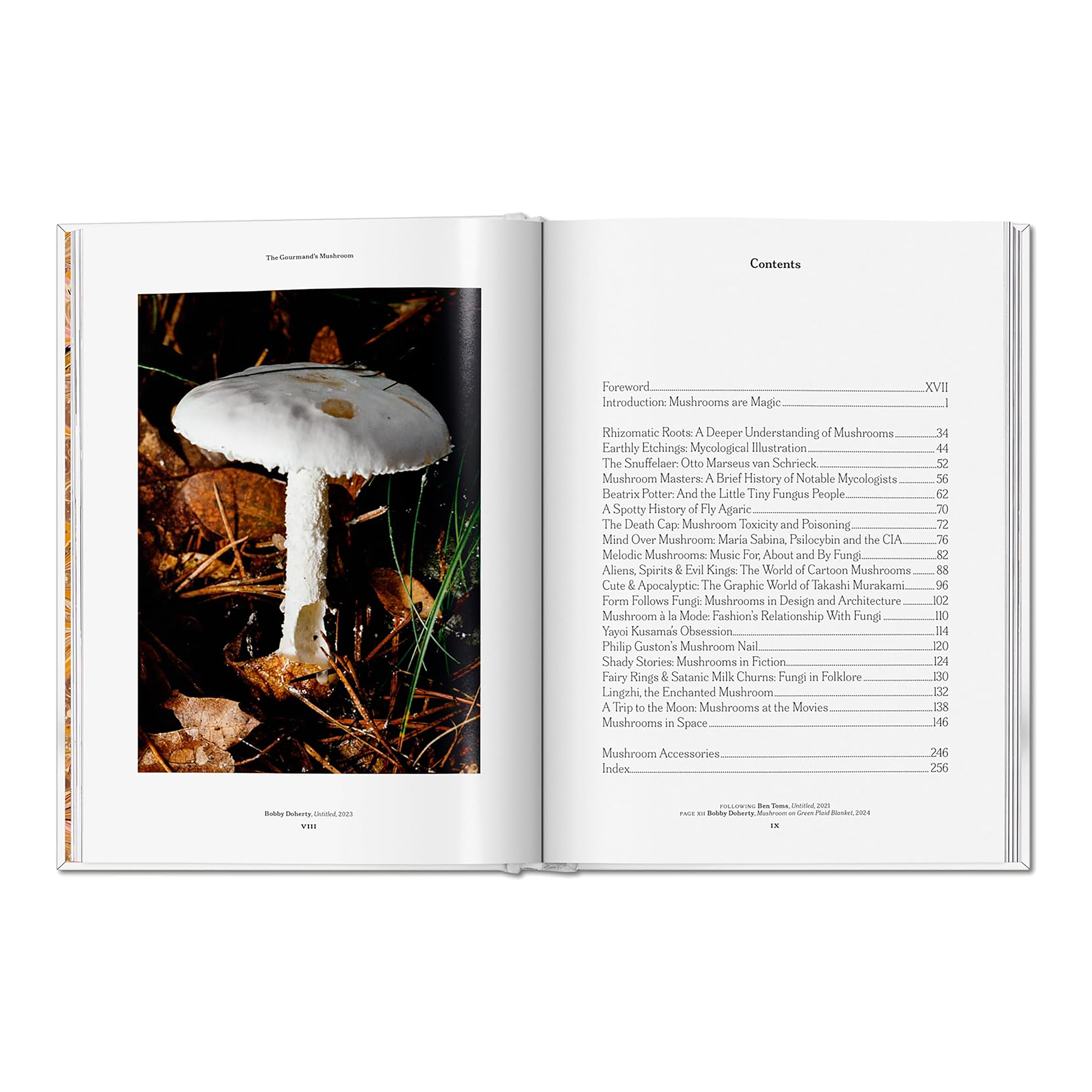 The Gourmand's Mushroom