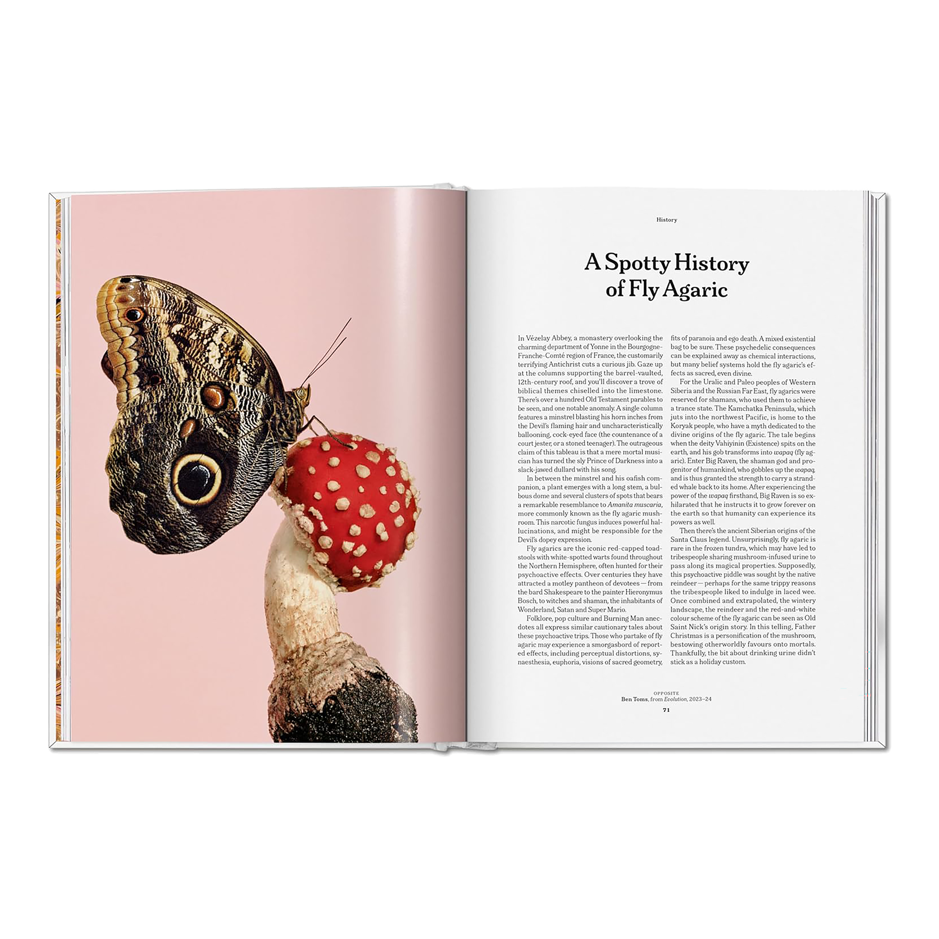 The Gourmand's Mushroom