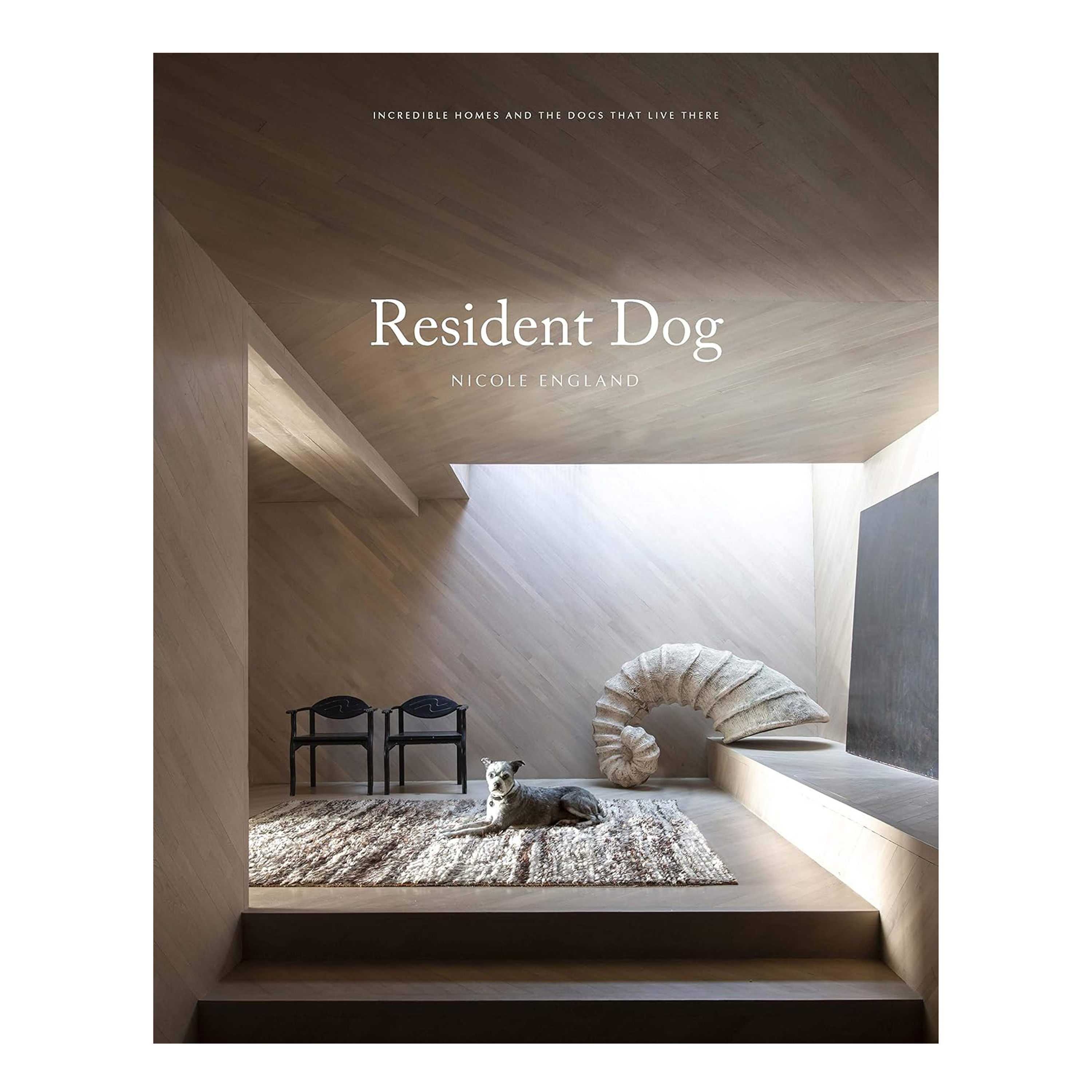 Resident Dog
