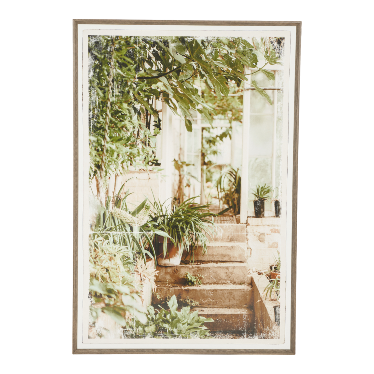Greenhouse I