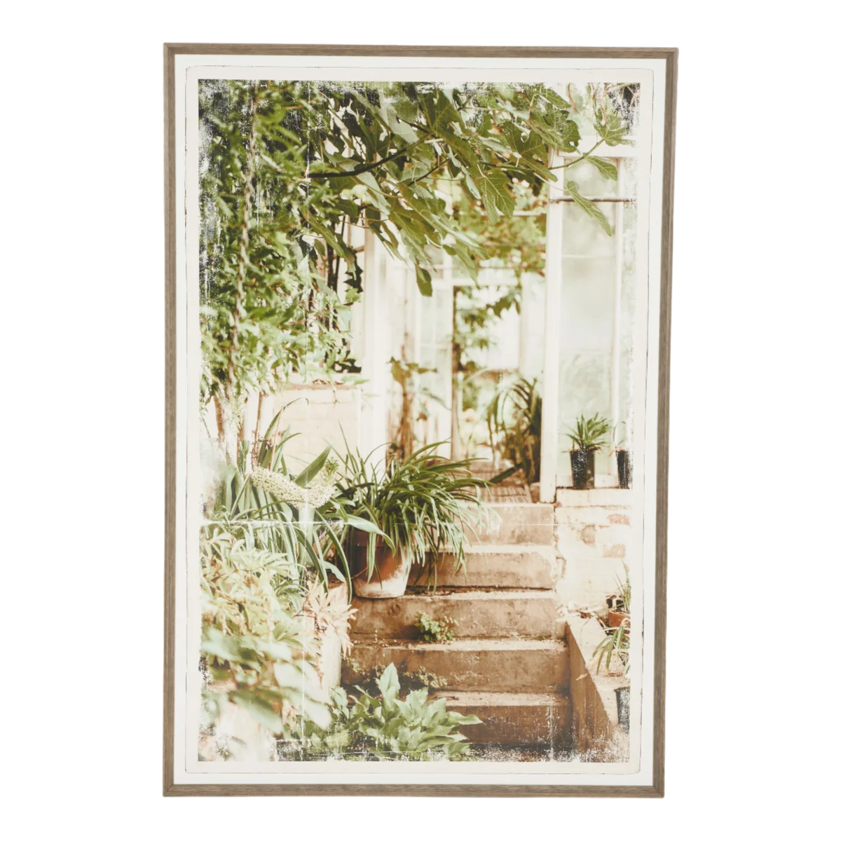 Greenhouse II