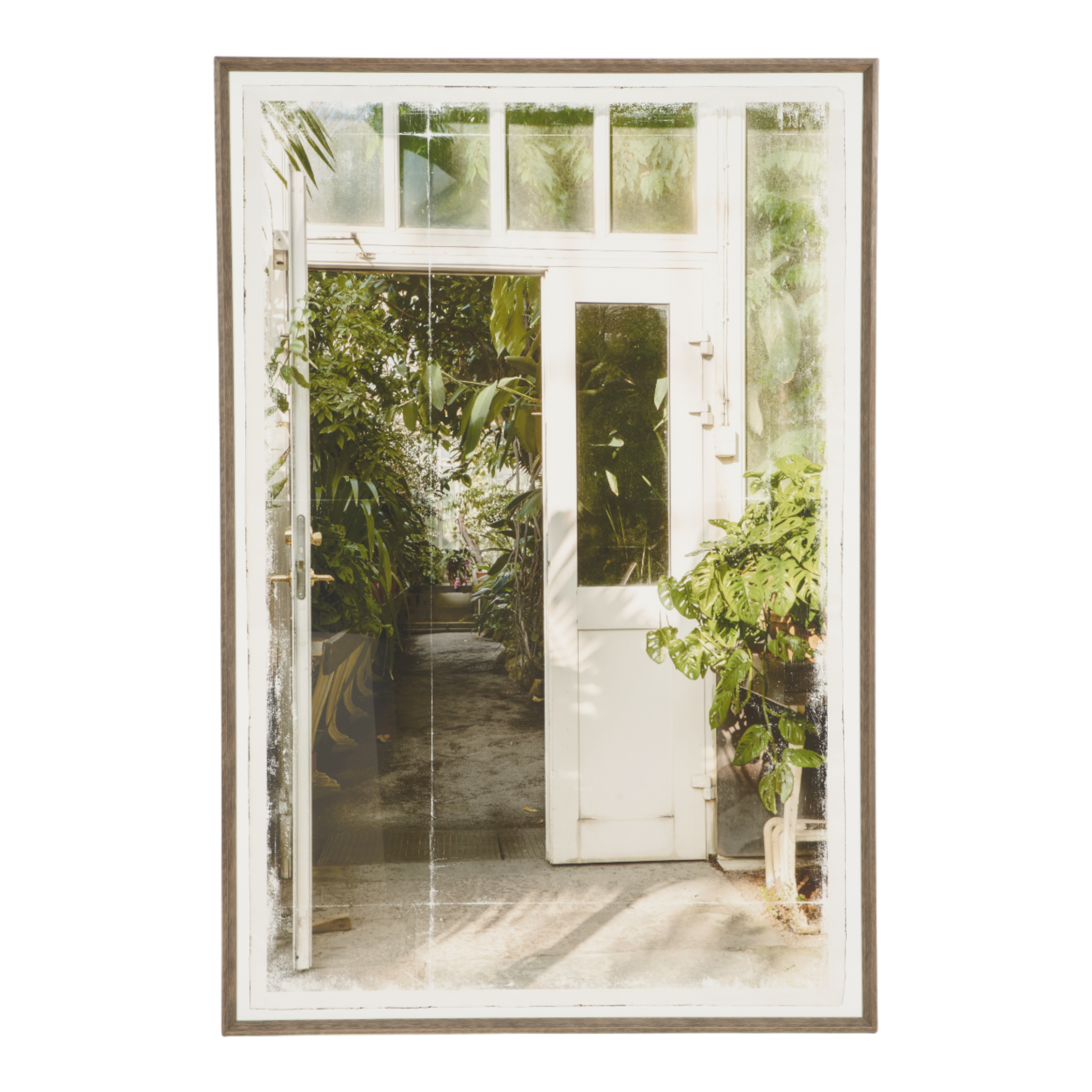 Greenhouse II