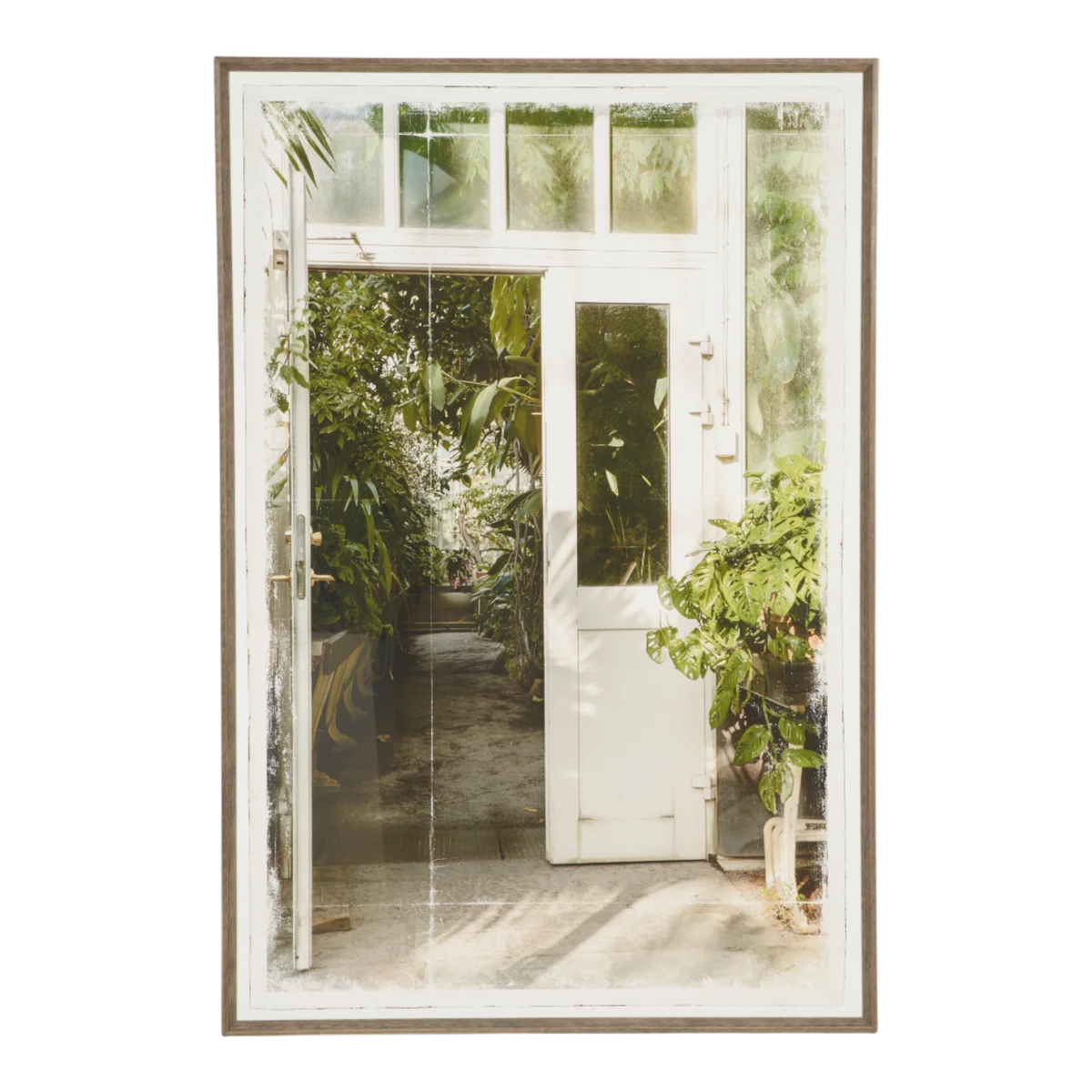 Greenhouse I