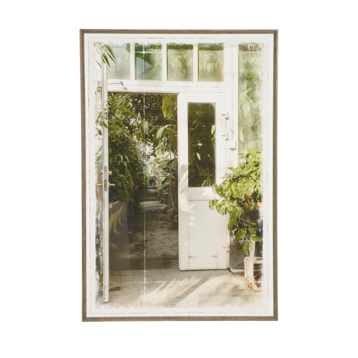 Greenhouse I