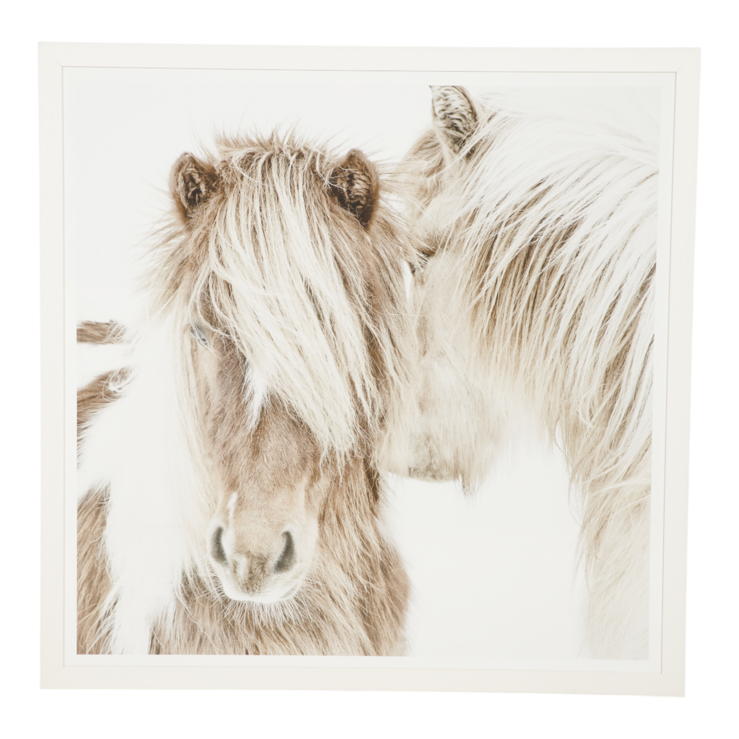 Gentle Ponies