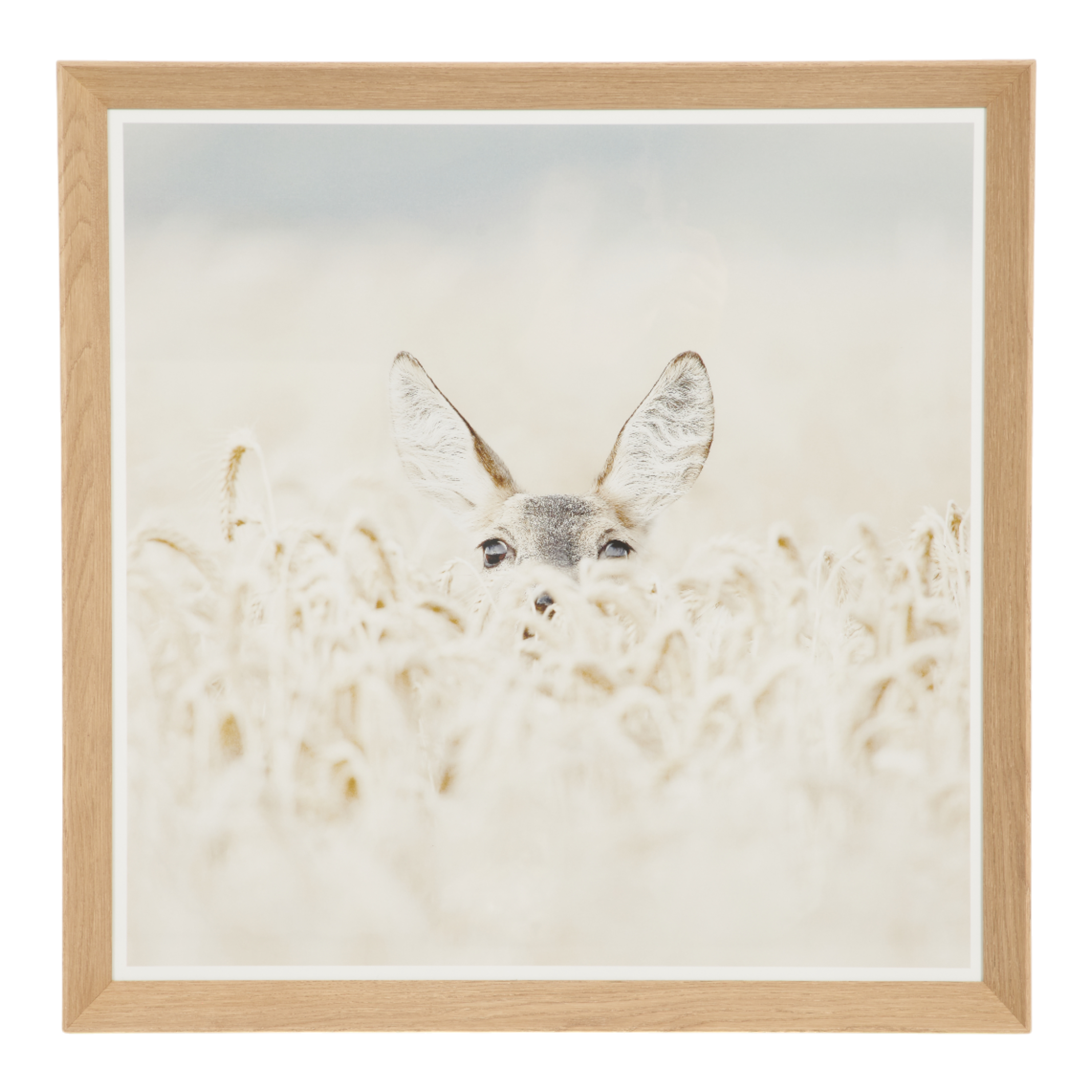 Peeking Fawn