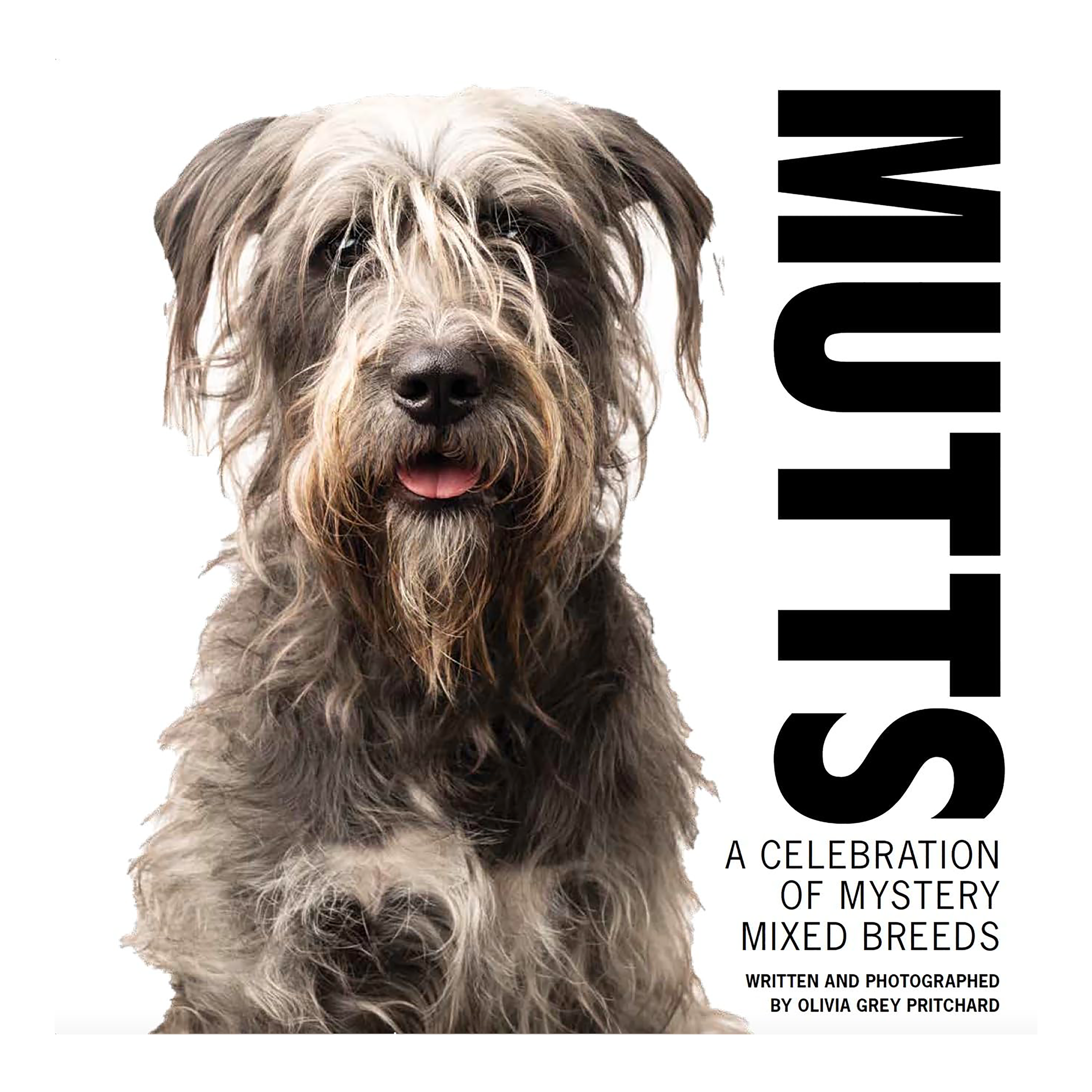Mutts: A Celebration