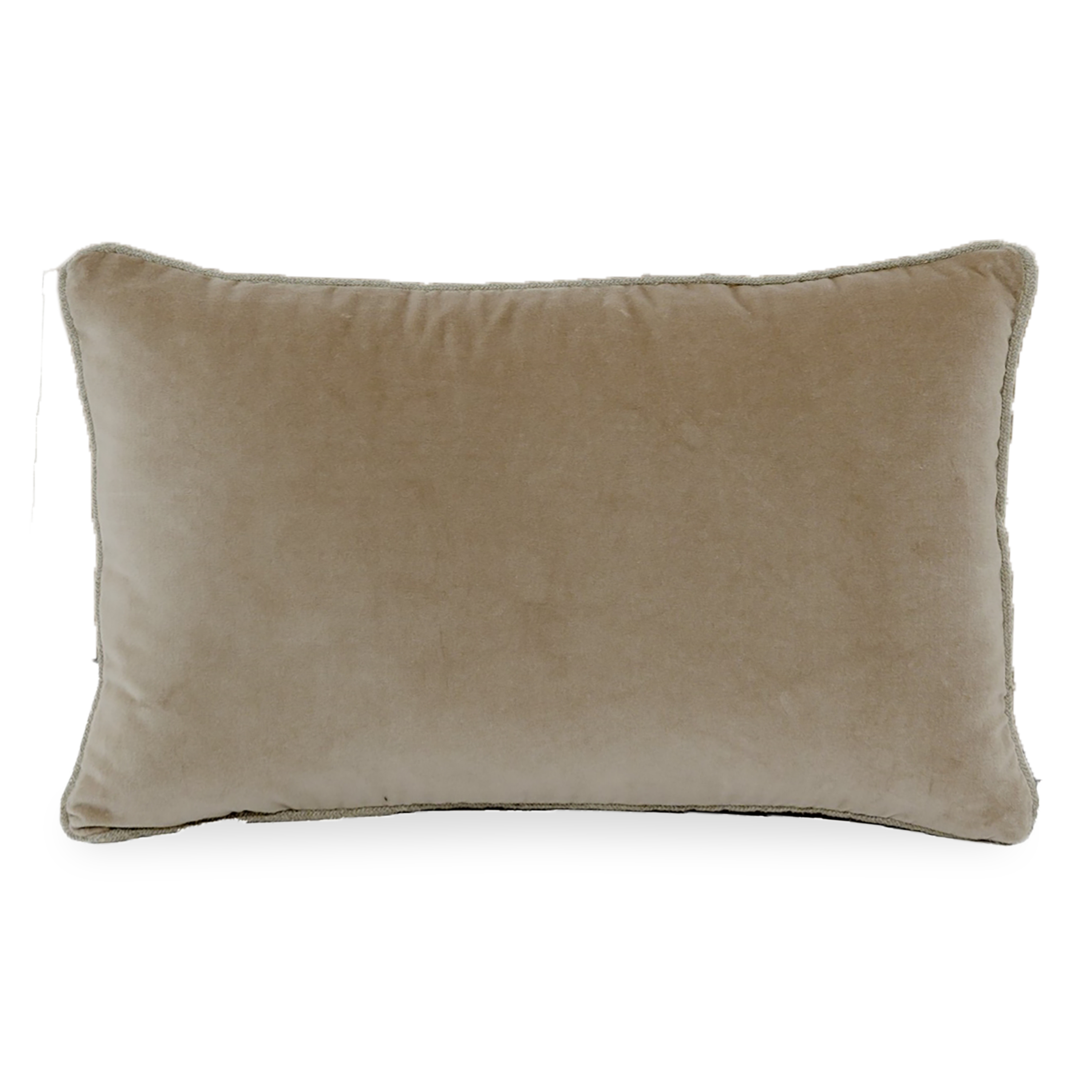 Velvet Fringe Pillow