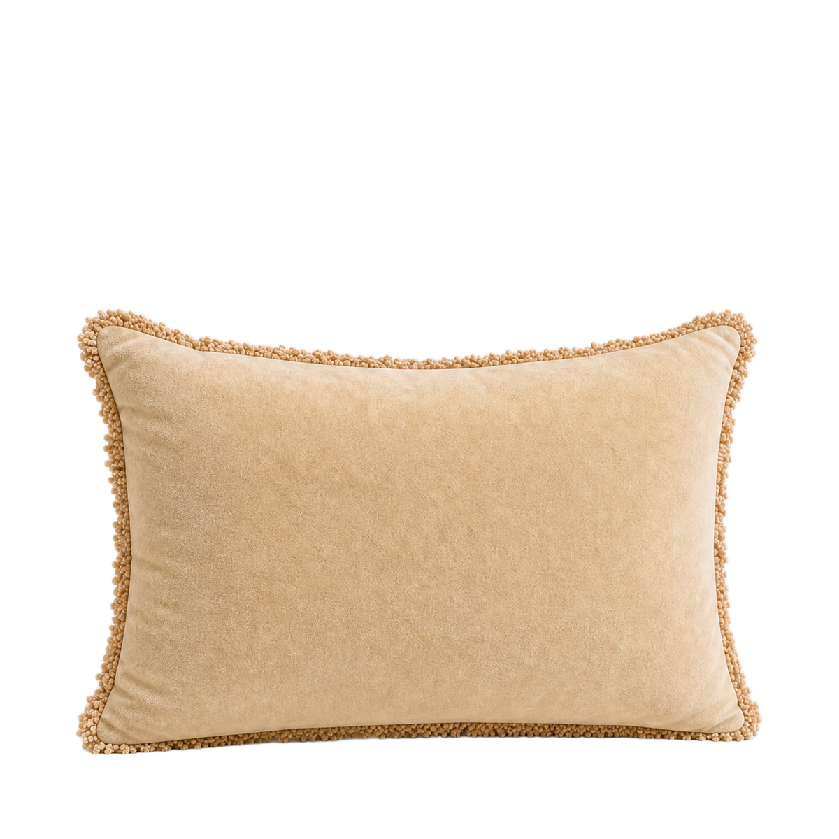 Velvet Fringe Pillow