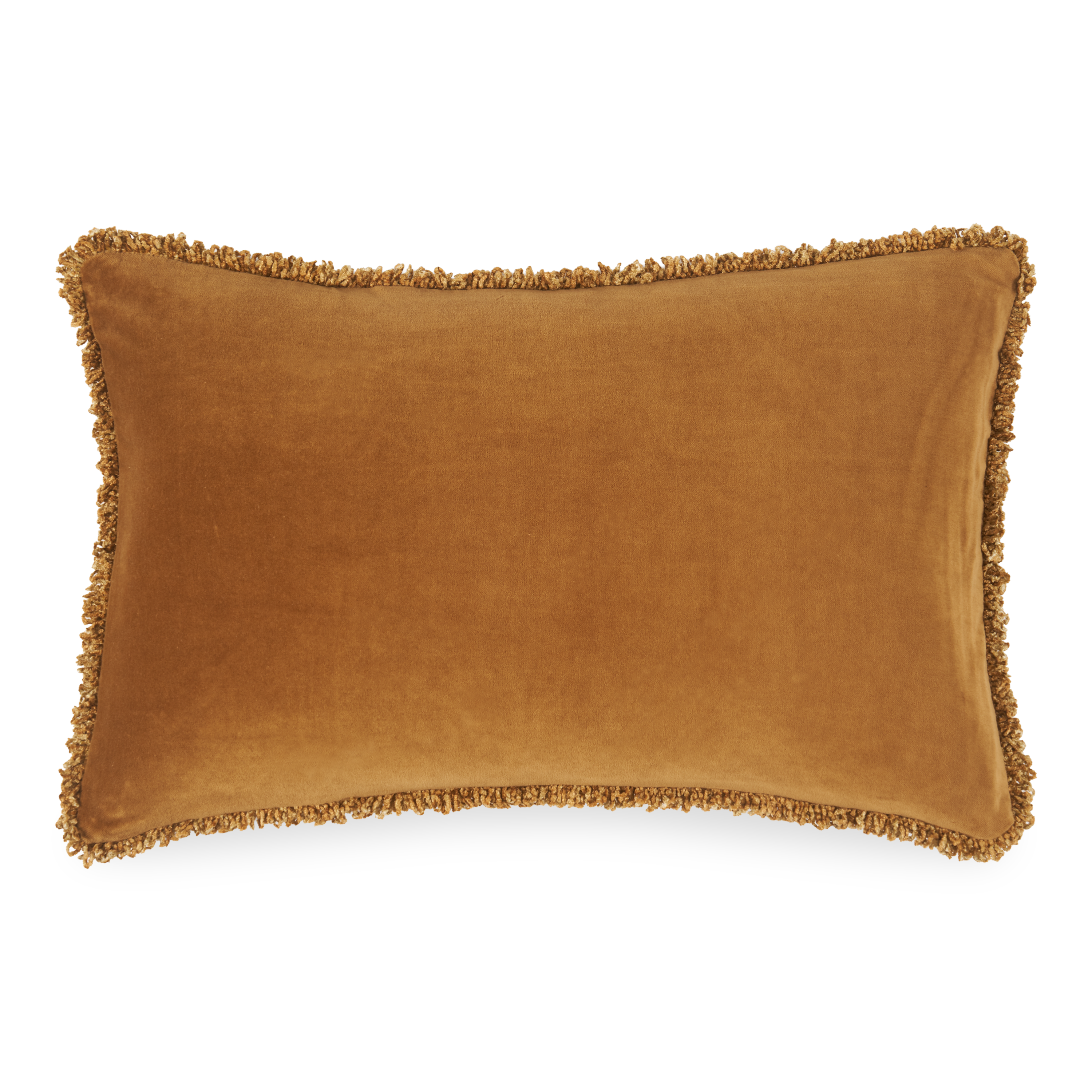Velvet Fringe Pillow