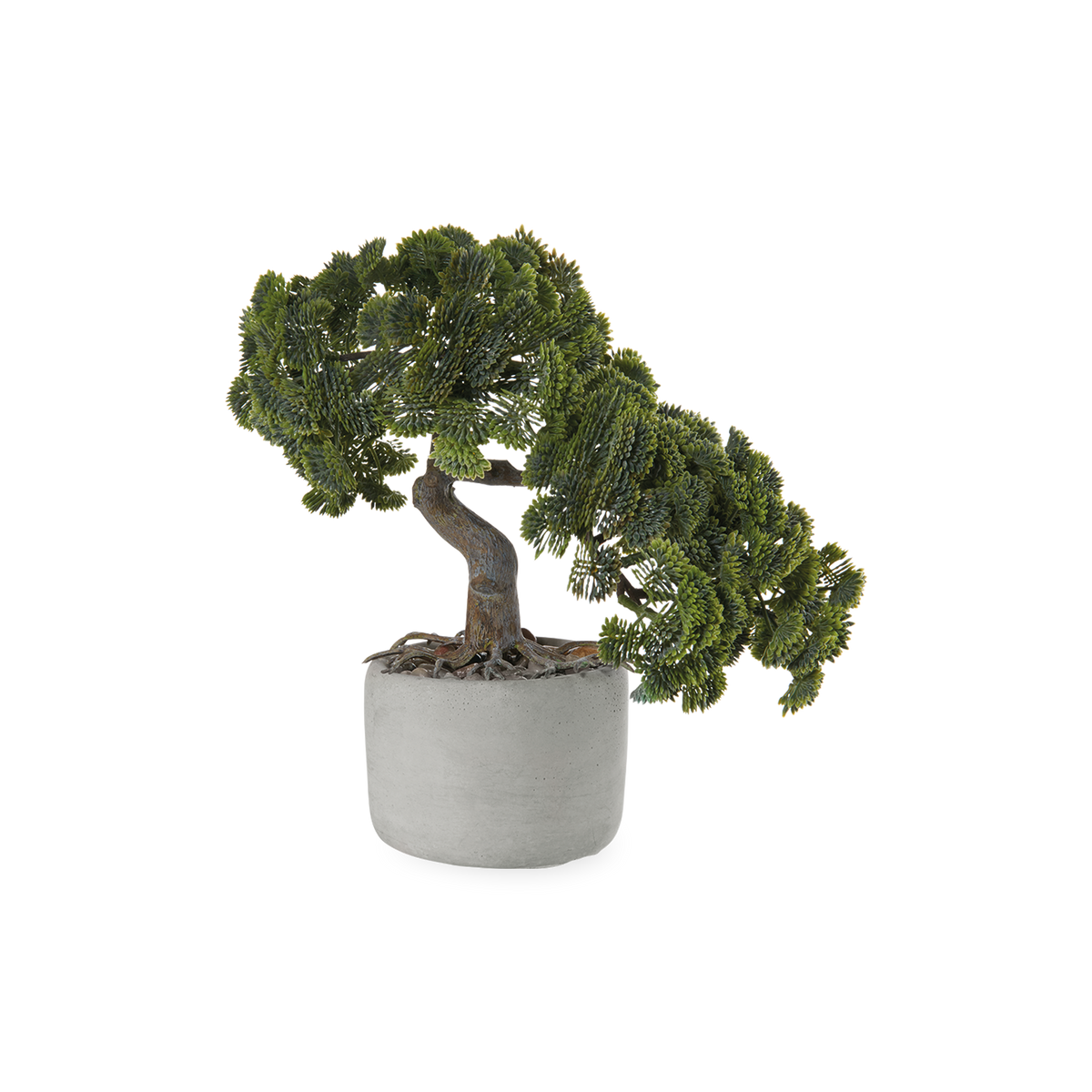Beautiful faux Cypress Bonsai plant nestled in a grey pot.