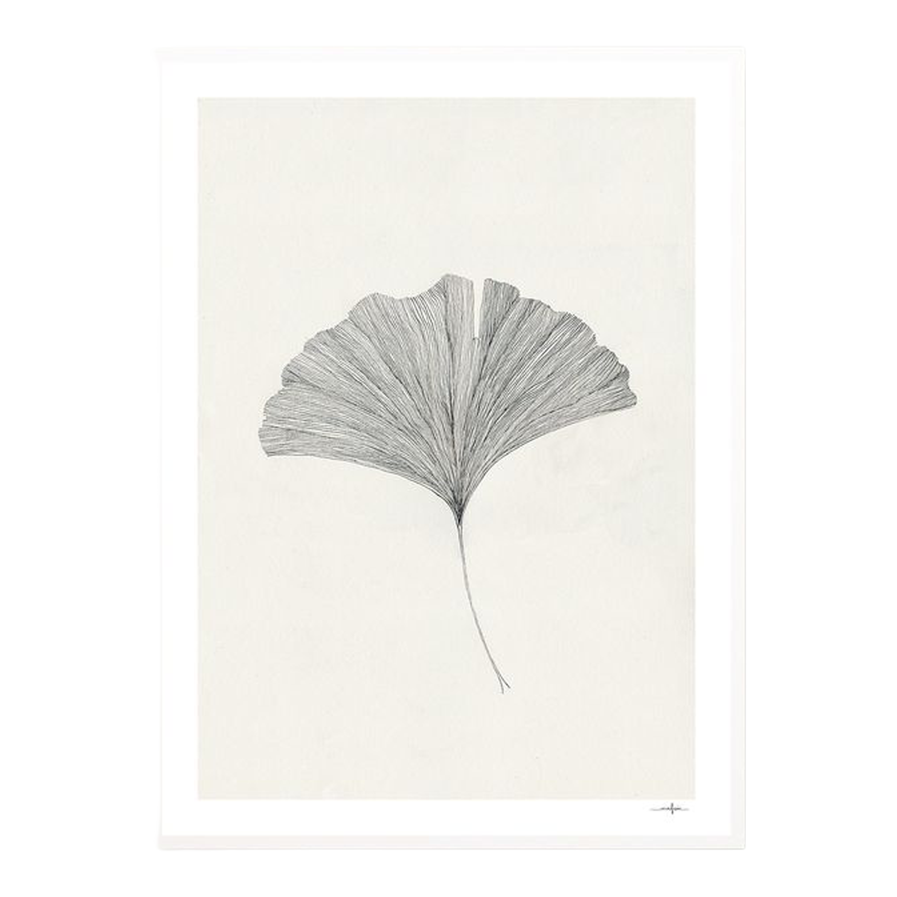 Gingko Leaf