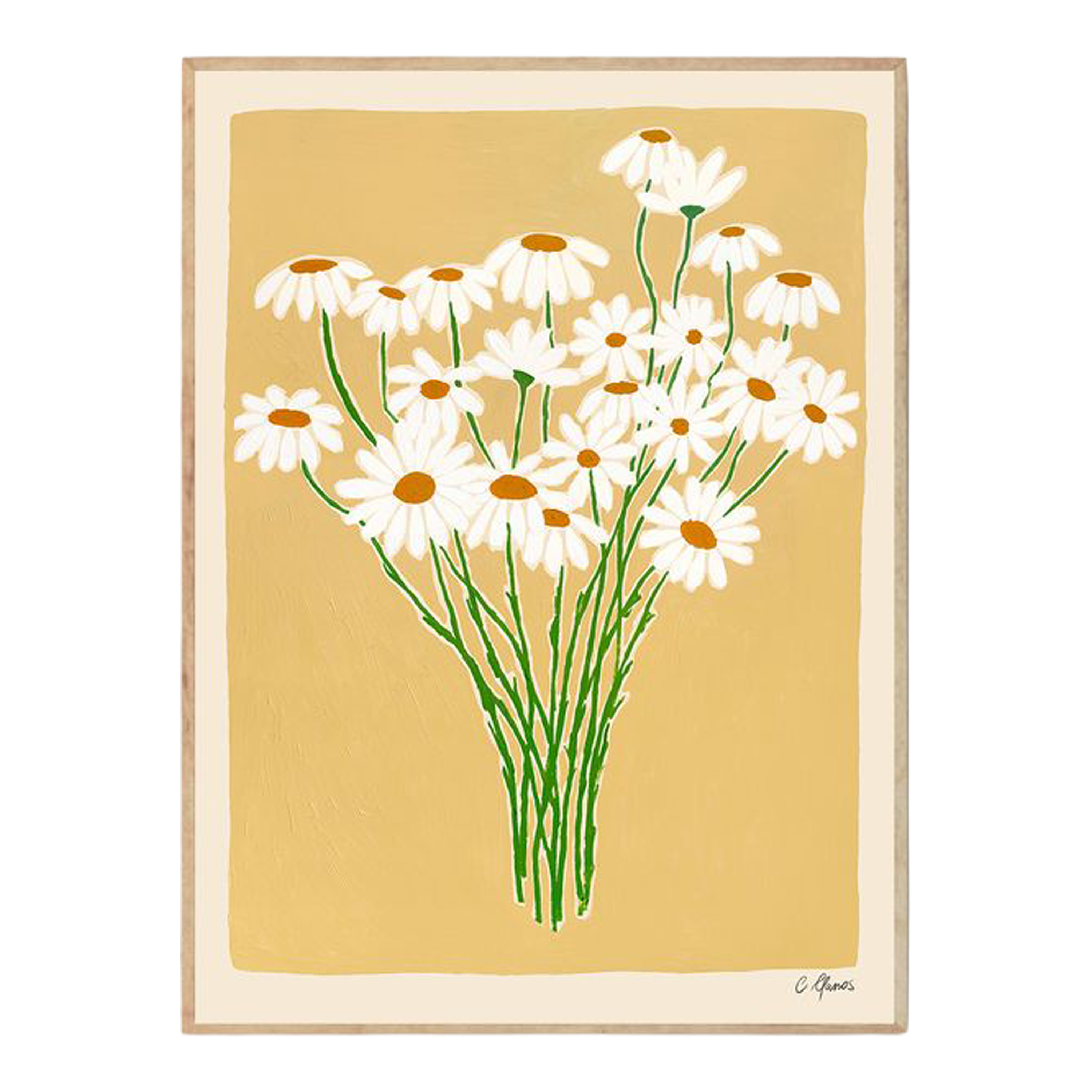 Daisies