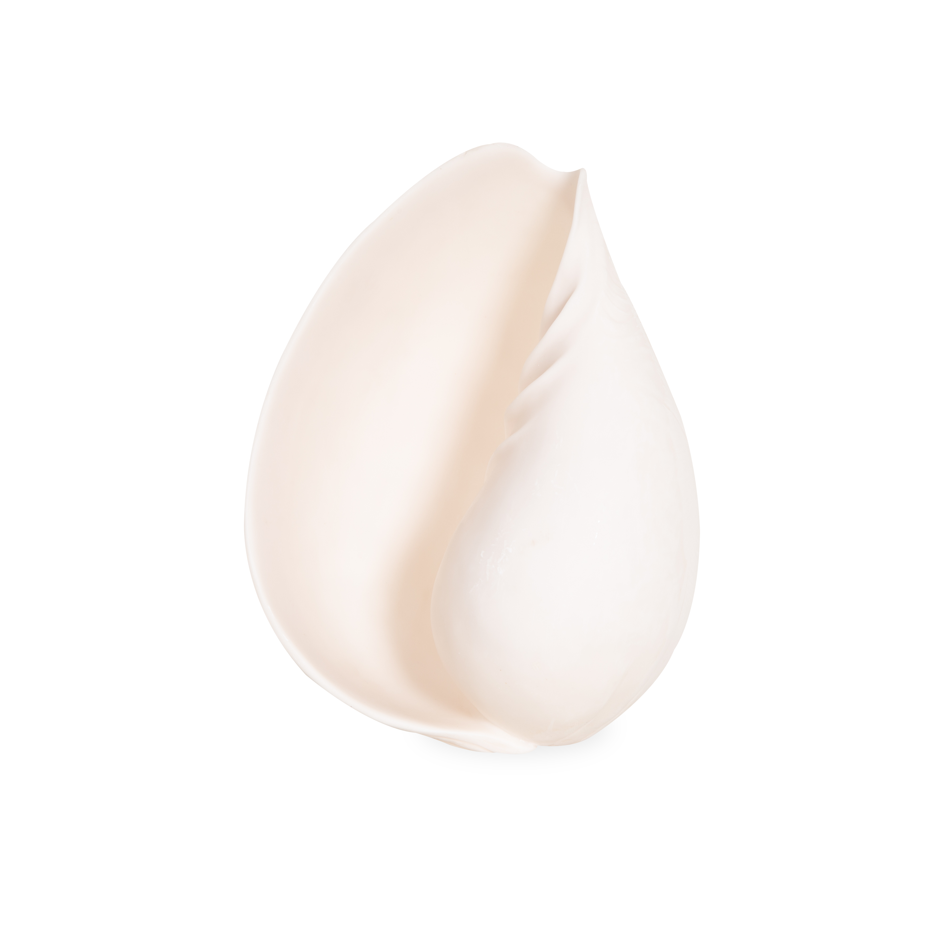 Seashell Sculpture