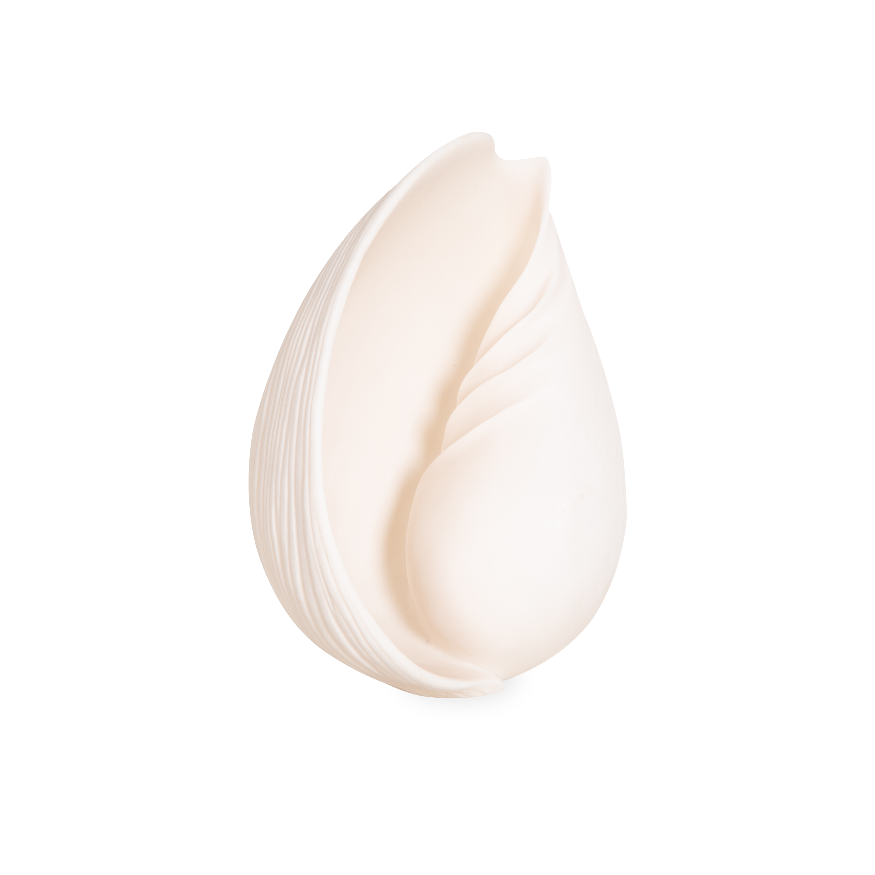 Seashell Sculpture