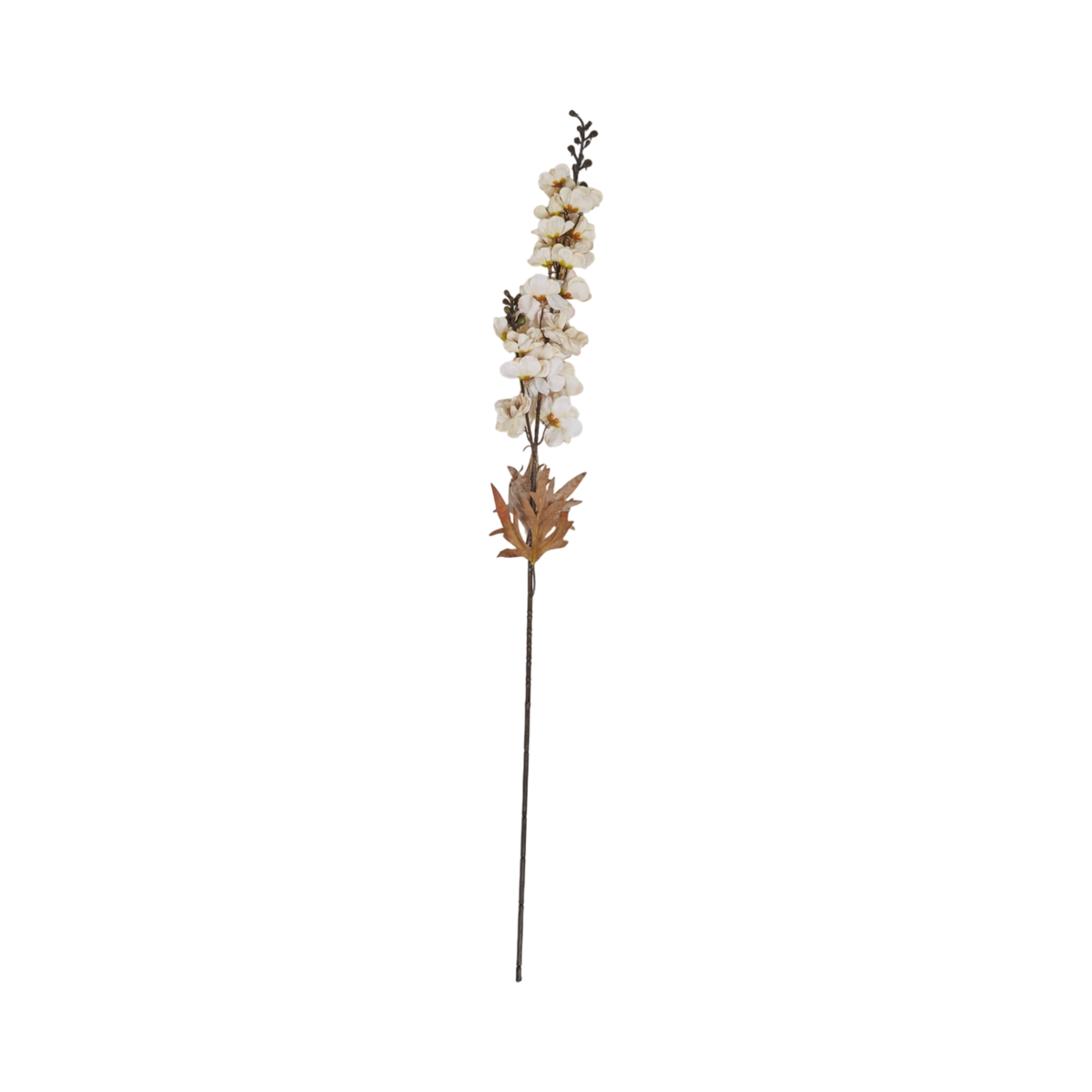 Larkspur Stem