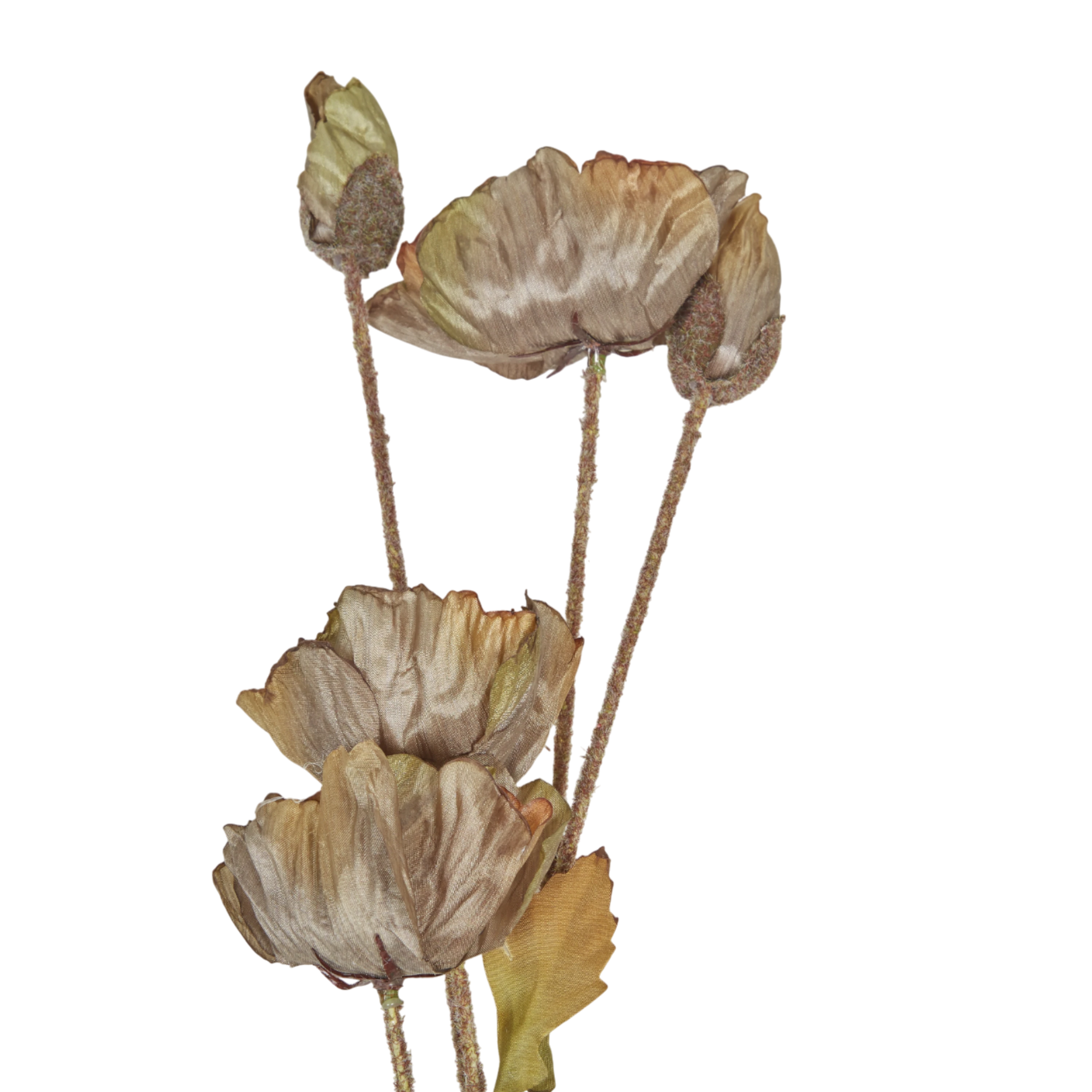 Poppy Stem