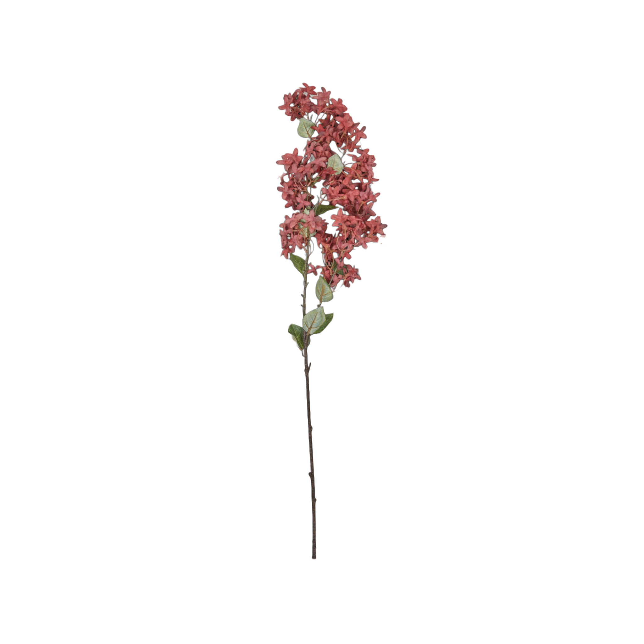 Myrtle Branch