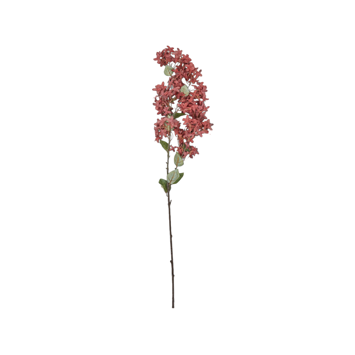 Myrtle Branch