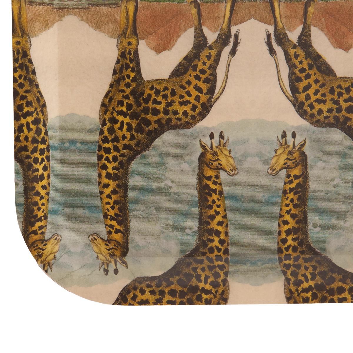 Giraffe Birchwood Tray
