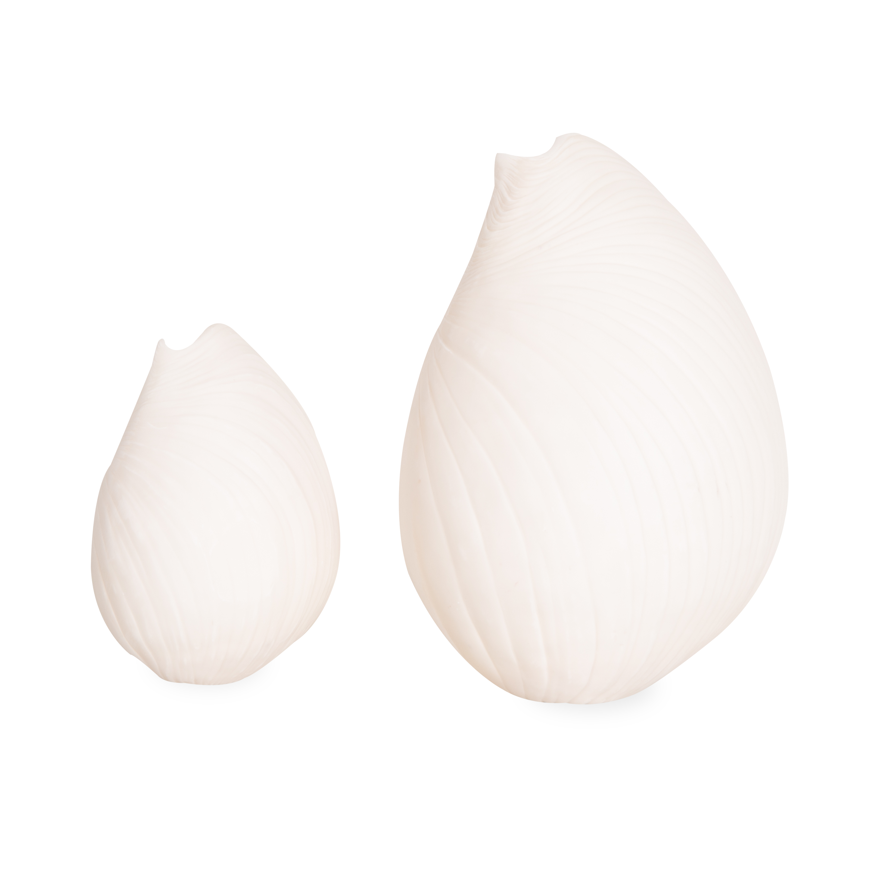 Seashell Sculpture