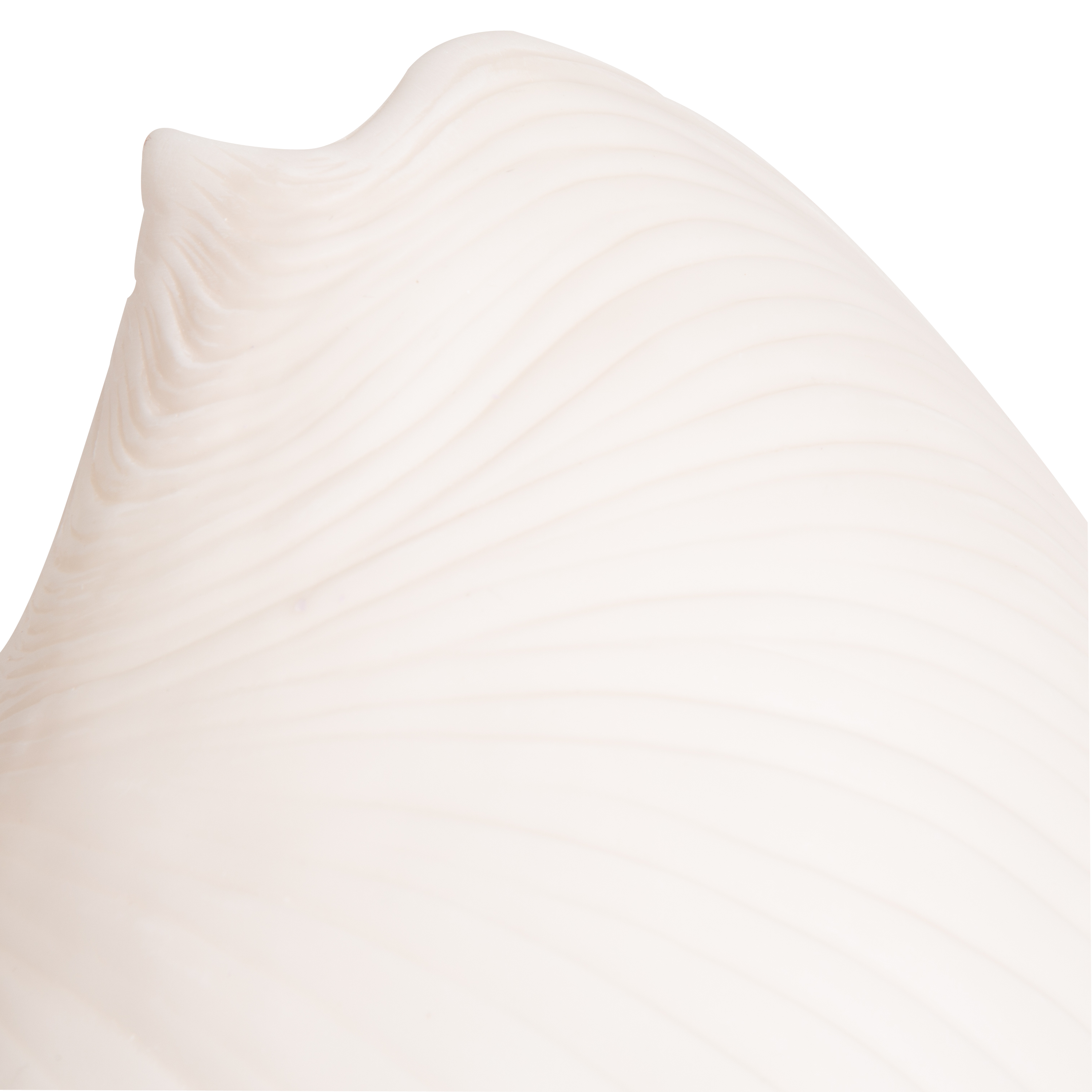 Seashell Sculpture