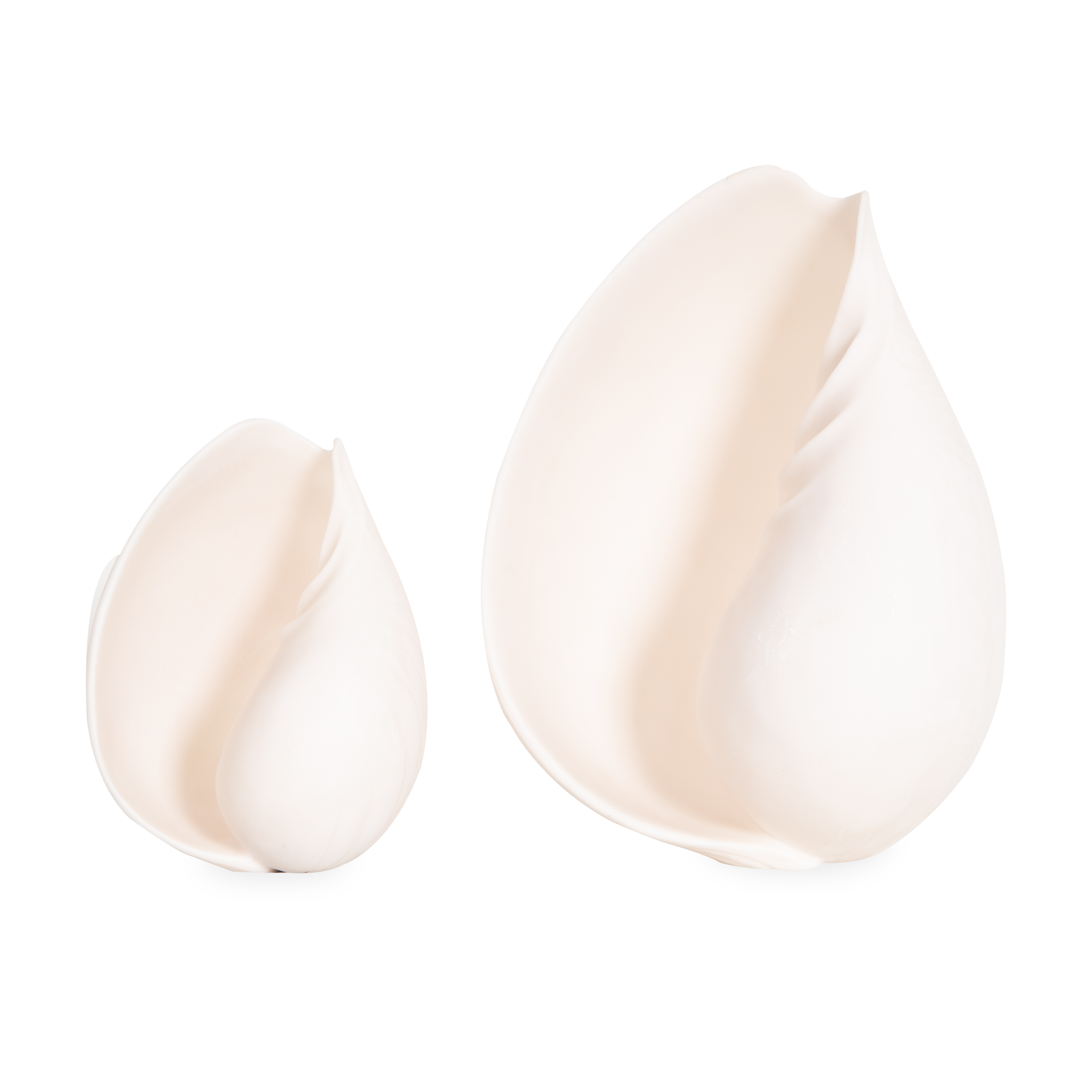 Seashell Sculpture